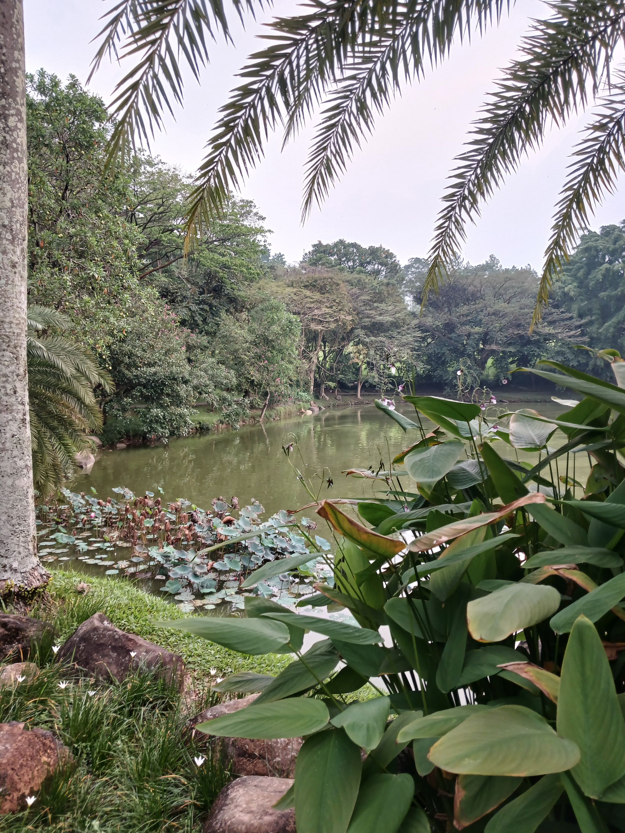 20250627_165040.jpg