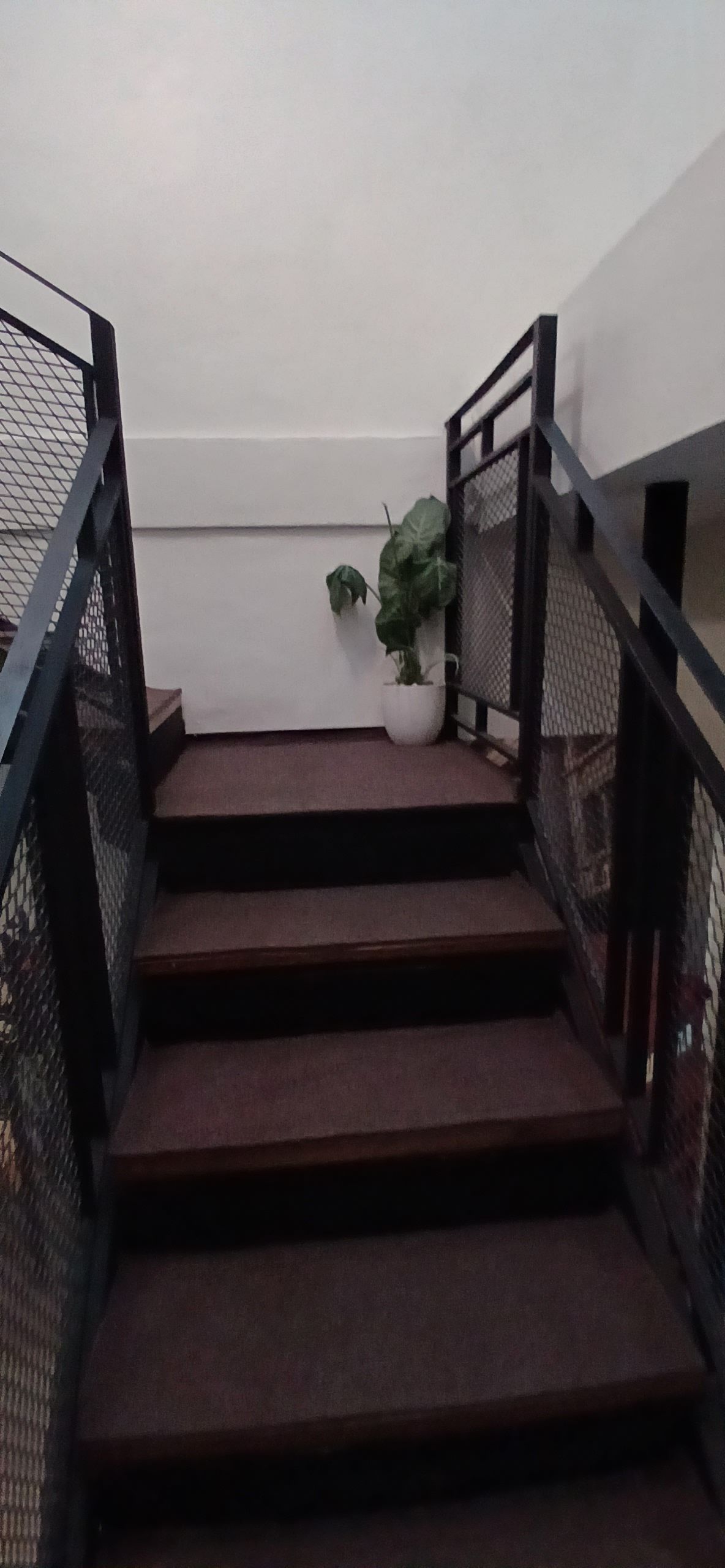 20240107_152034.jpg