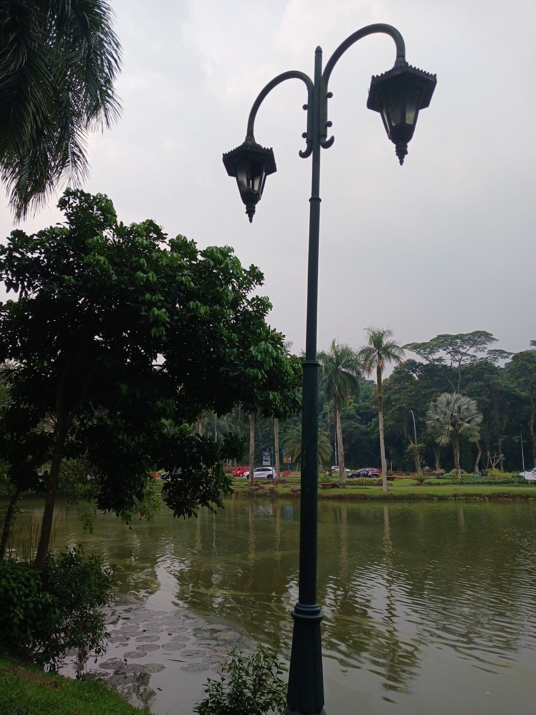 20250627_164248.jpg