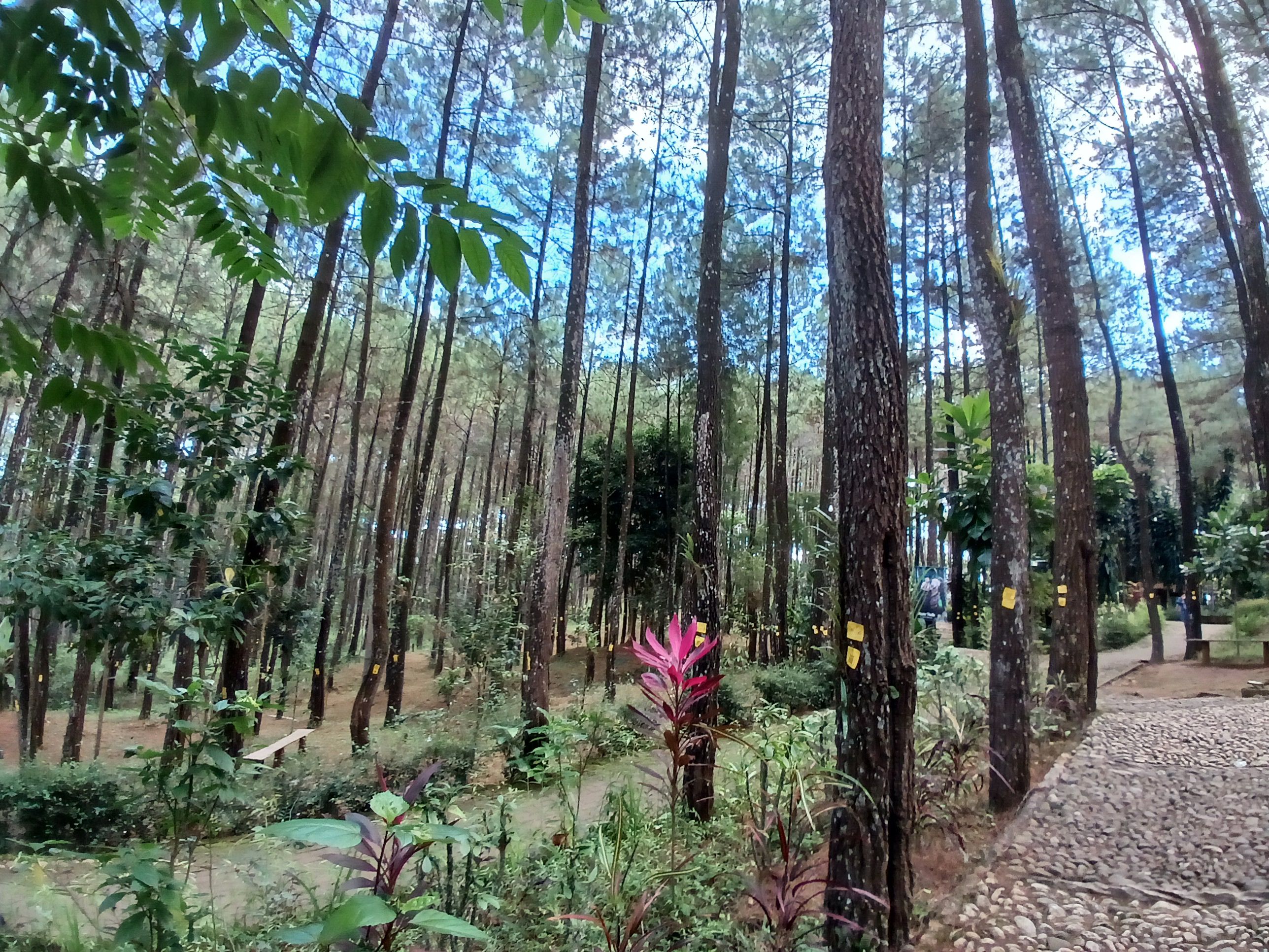 20250530_103958.jpg
