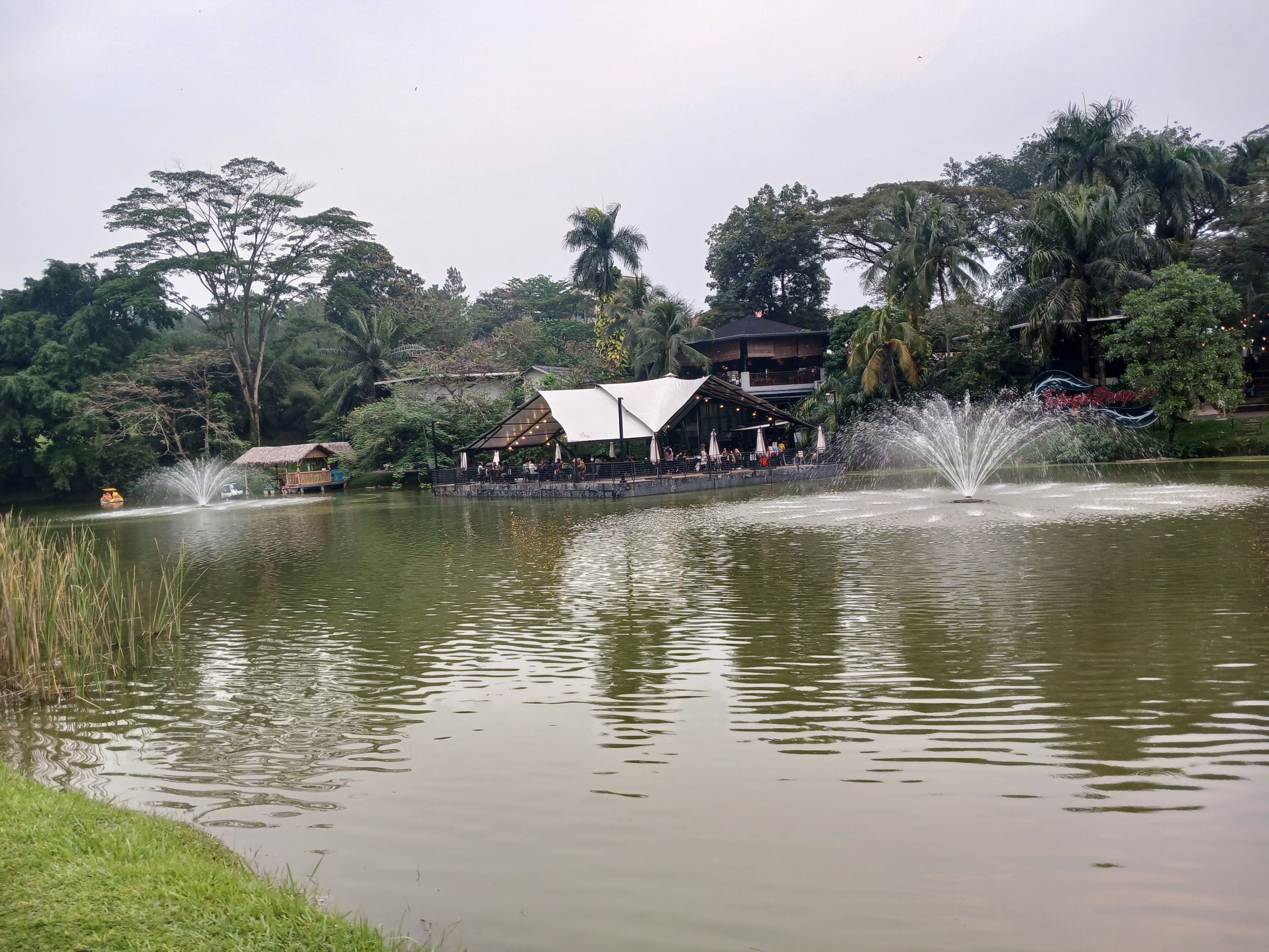 20250627_164830.jpg