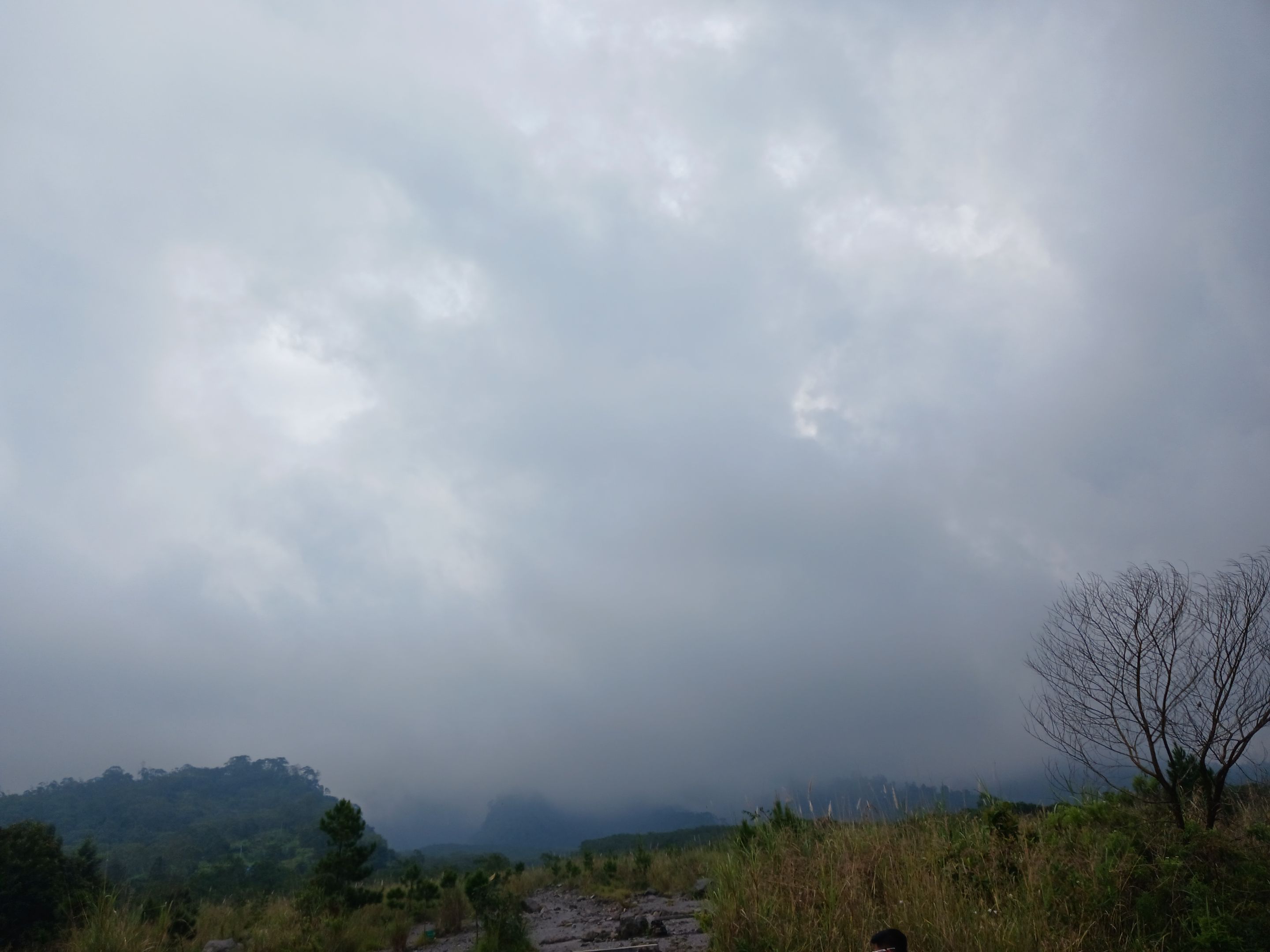 20250617_135539.jpg