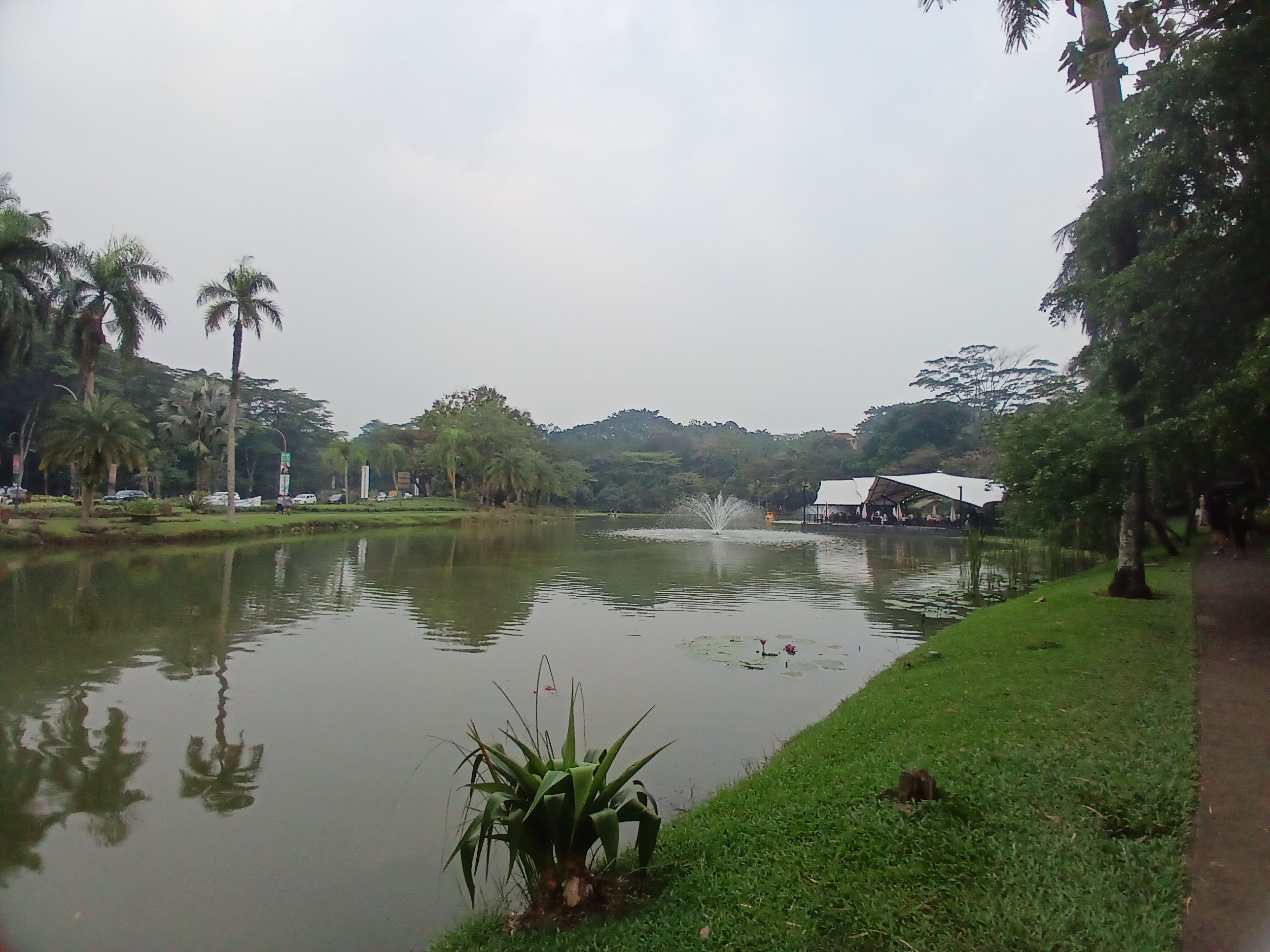 20250627_164359.jpg