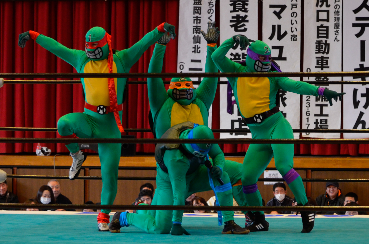 Michinoku_Ninja_Turtles.jpg