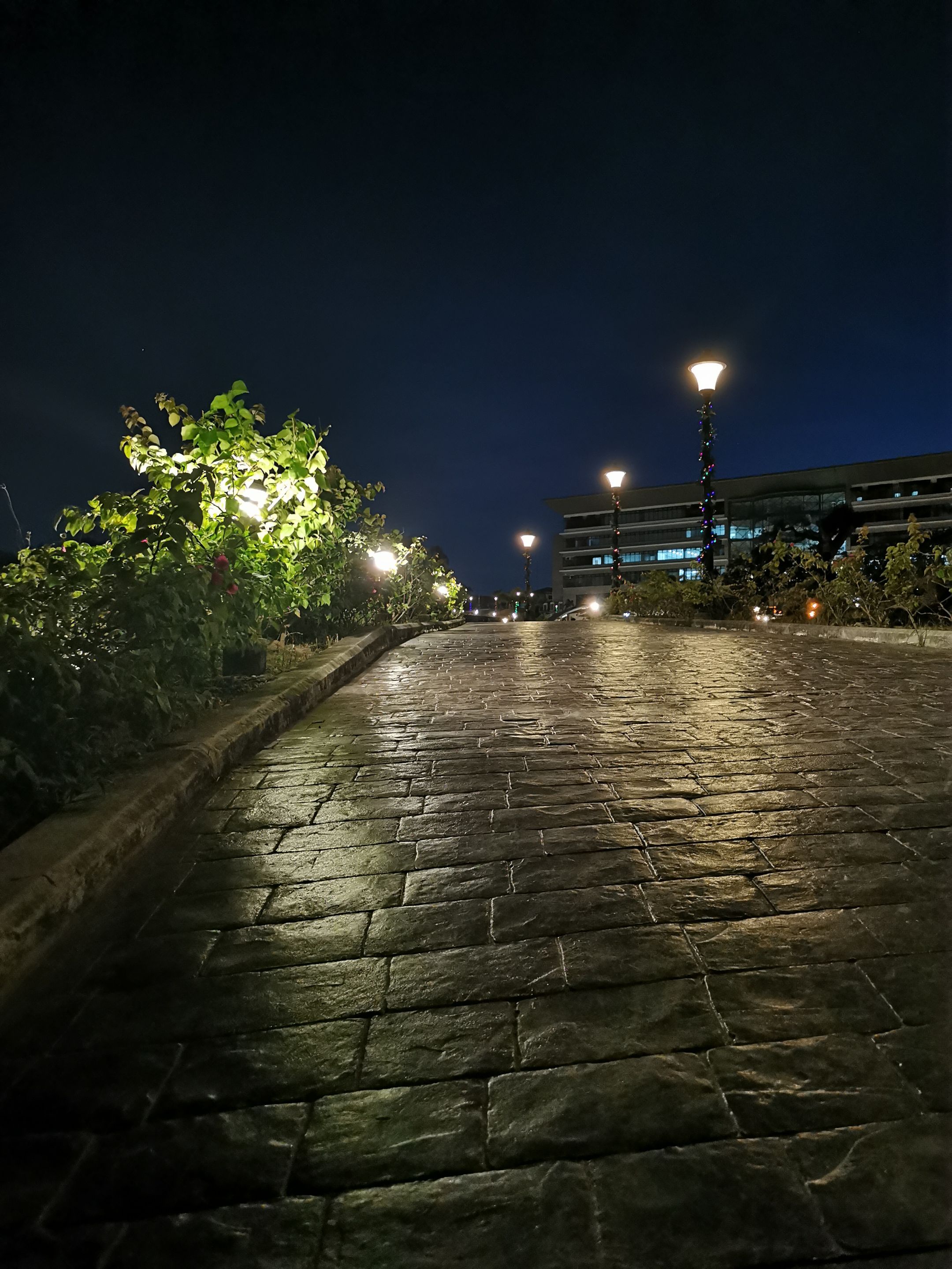 IMG_20240107_181923.jpg