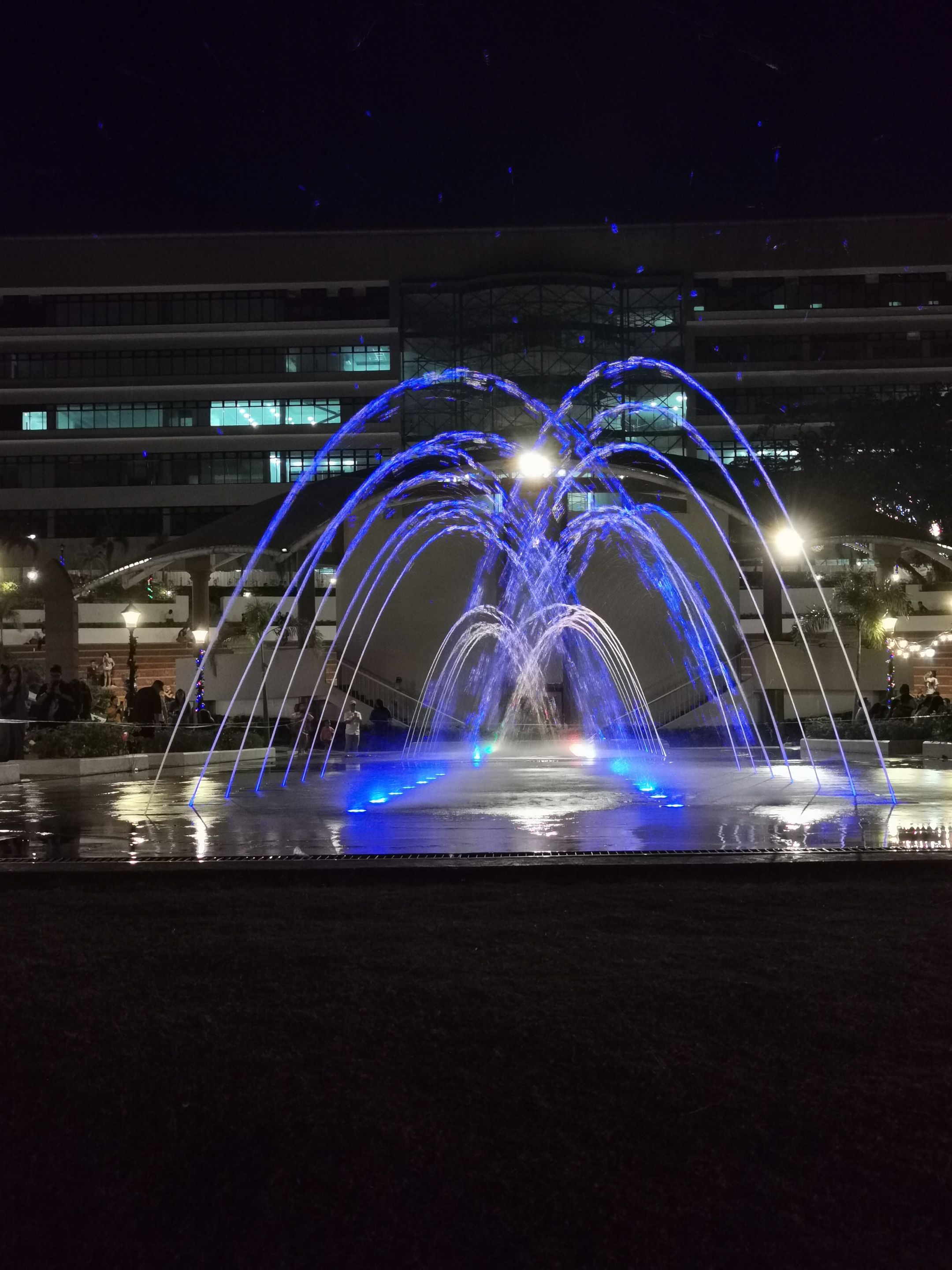 IMG_20240107_182608.jpg