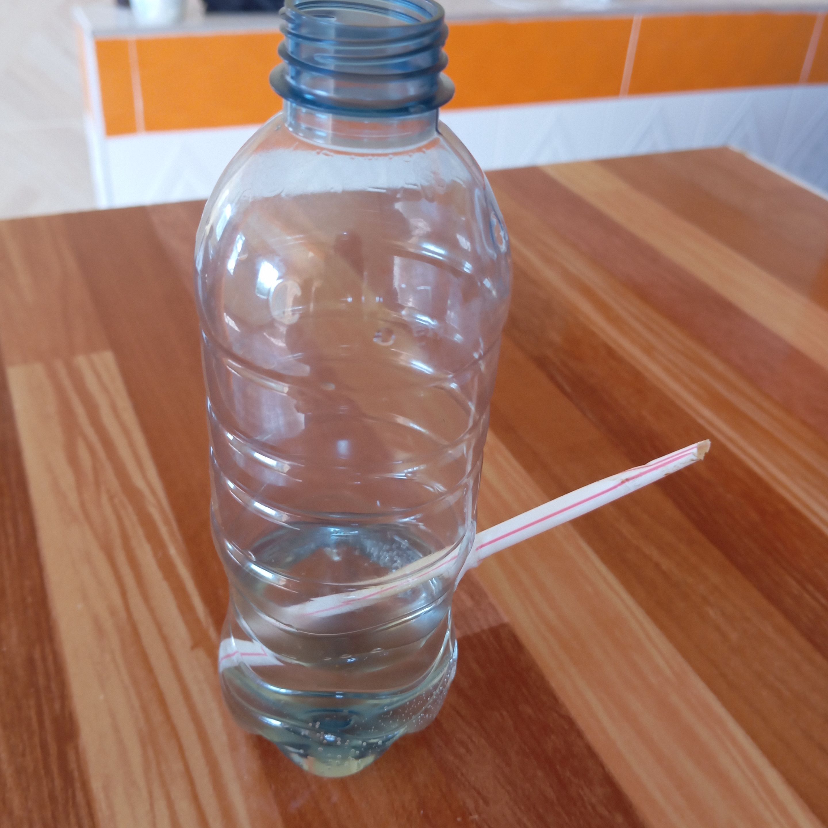 Estructura del bong