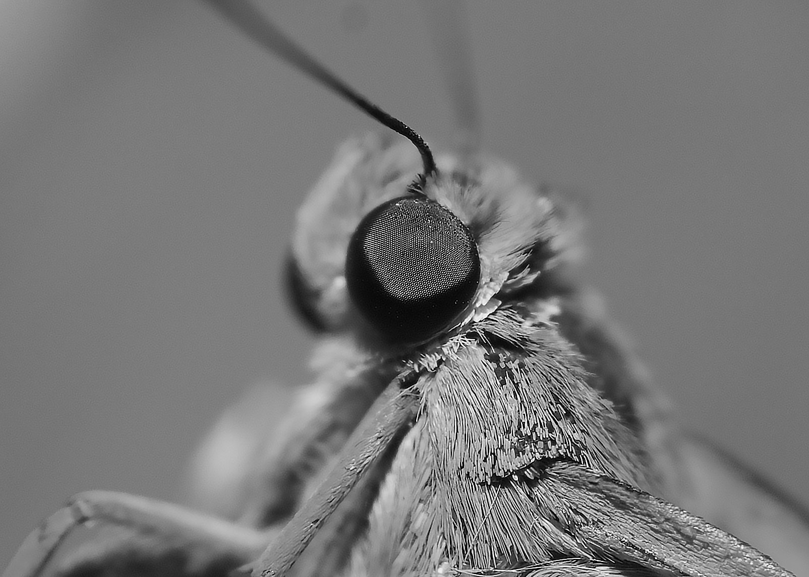 DSC_3905.jpg