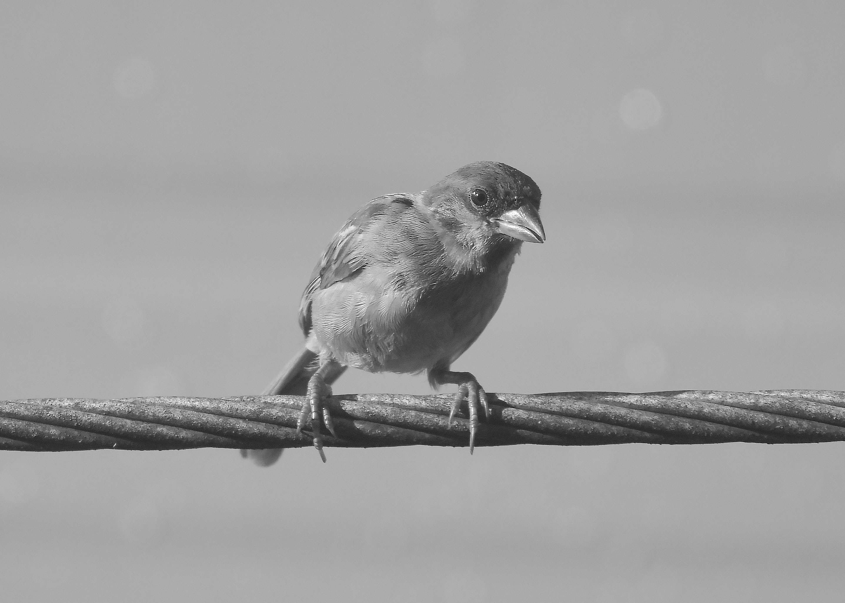 DSC_3804.jpg