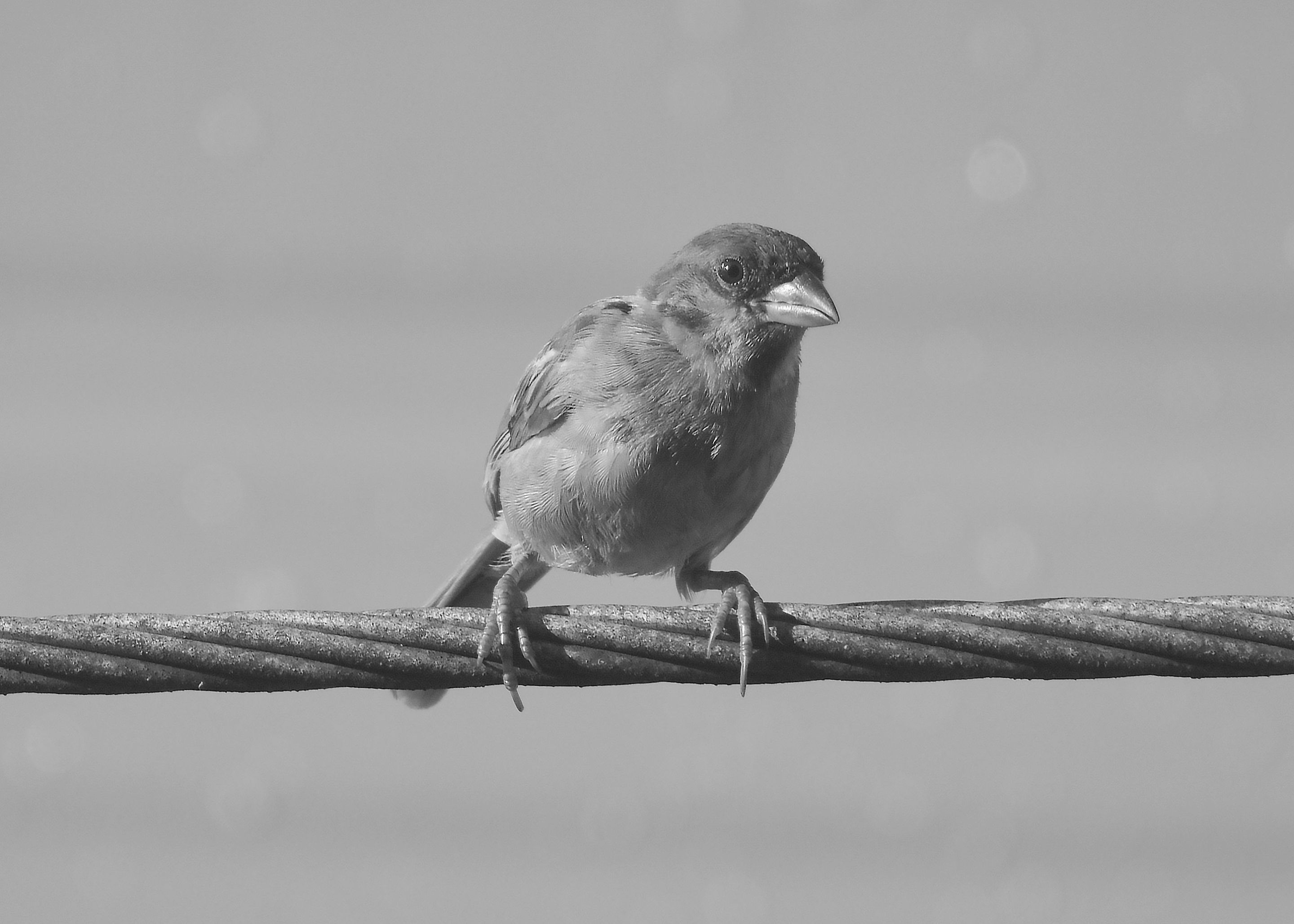 DSC_3821.jpg