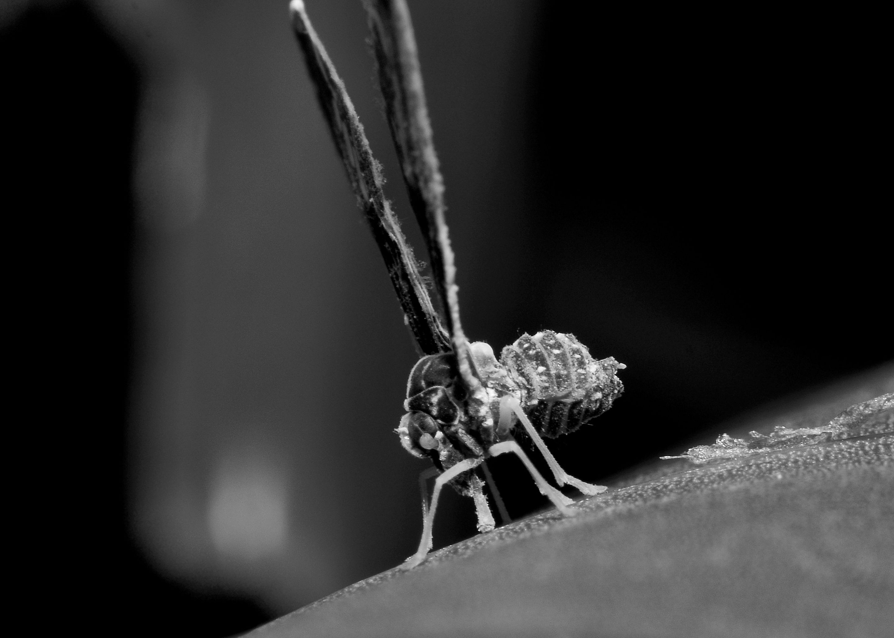 DSC_0324.jpg