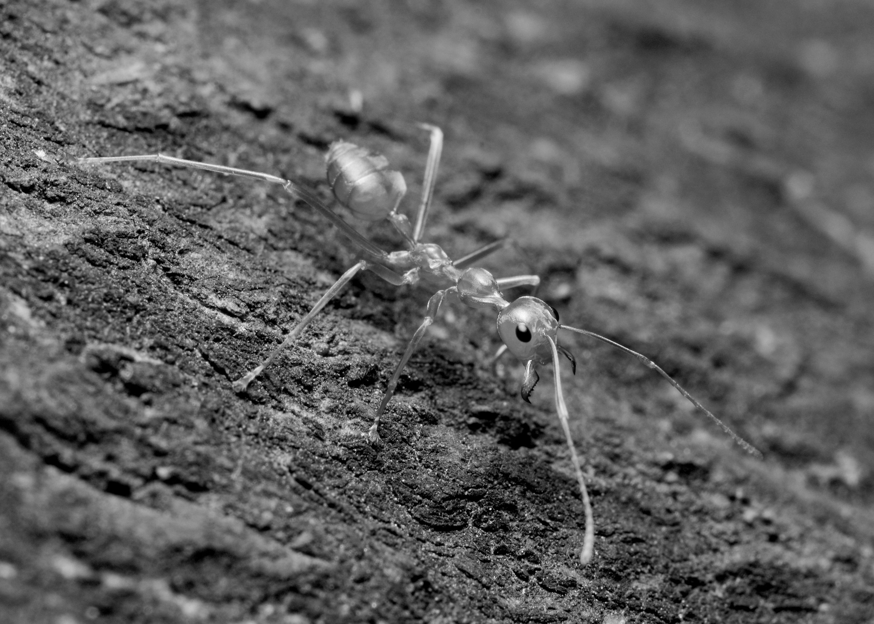 DSC_5030.jpg