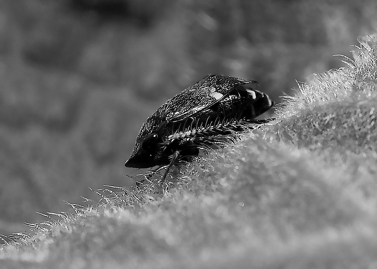DSC_5179.jpg
