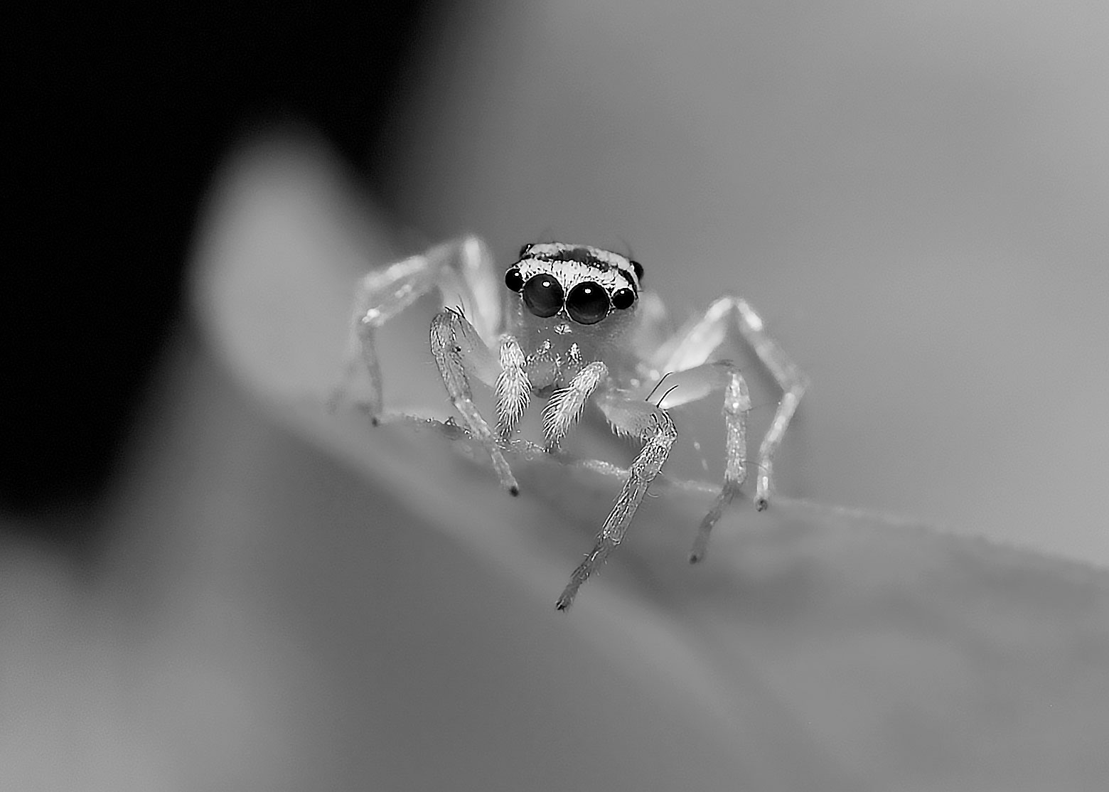 DSC_5146_01.jpg