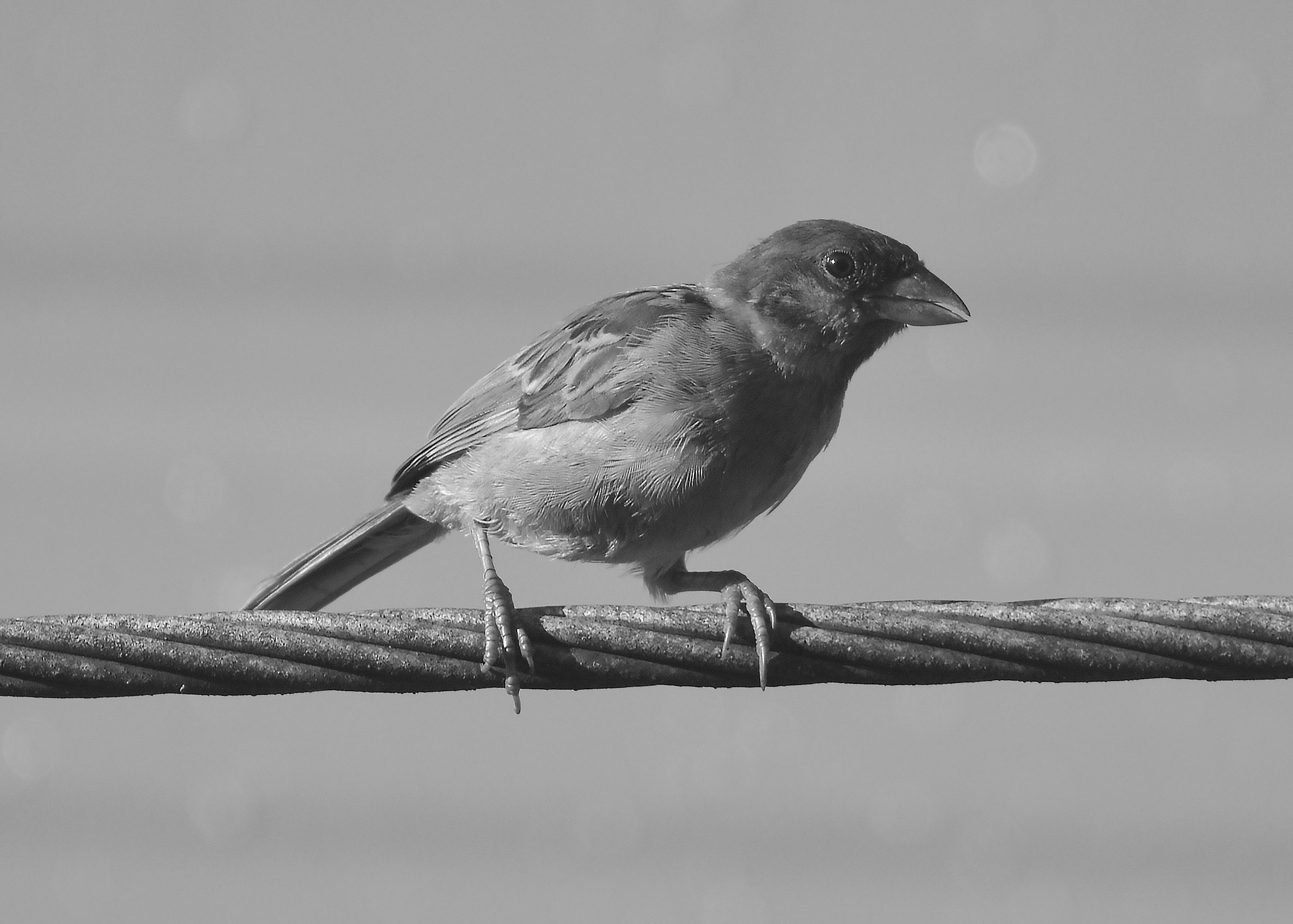 DSC_3830.jpg