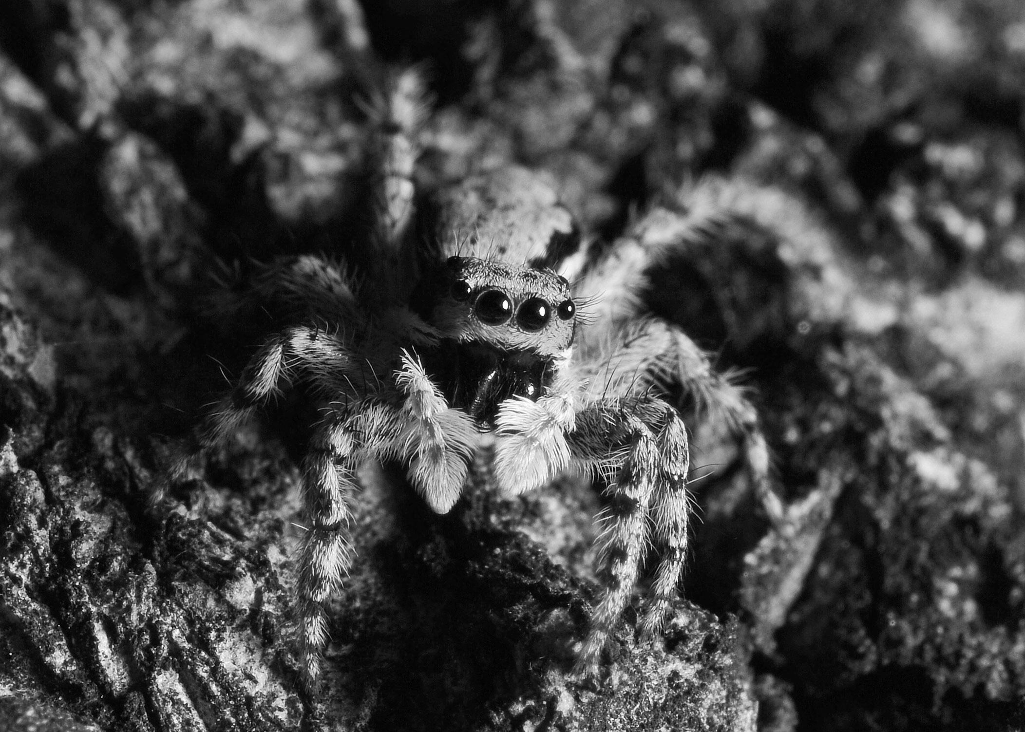 DSC_5682.jpg