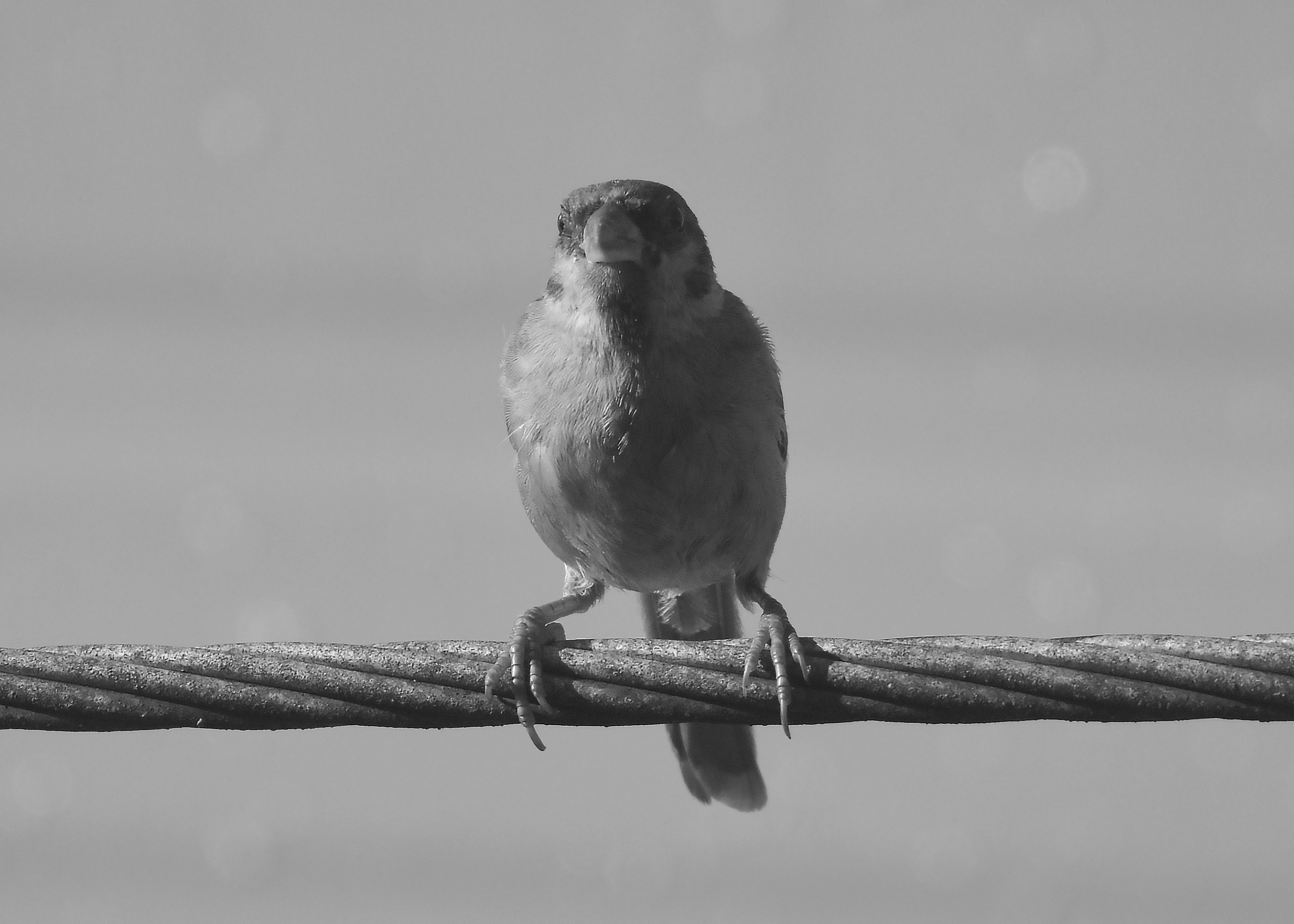 DSC_3790.jpg