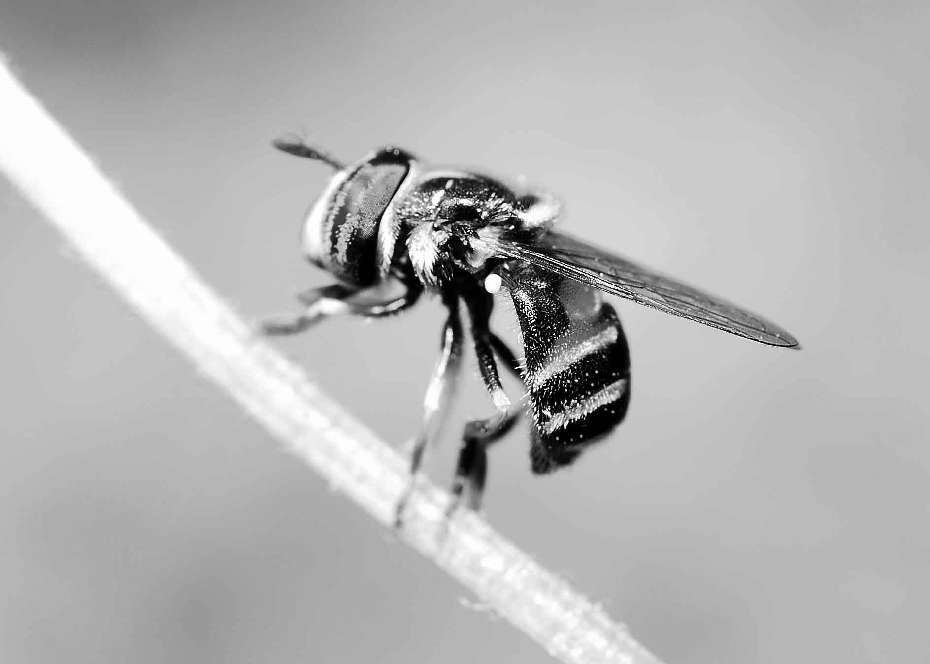 DSC_8147.jpg
