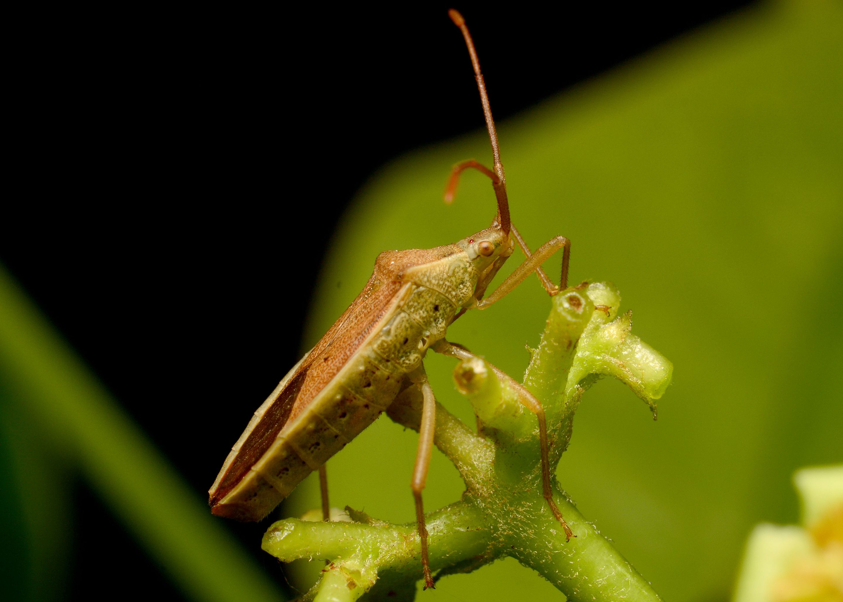 DSC_8001.jpg