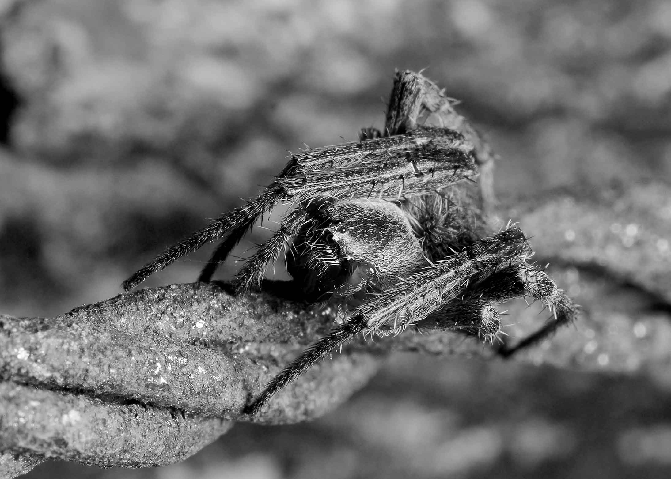 DSC_3324.jpg