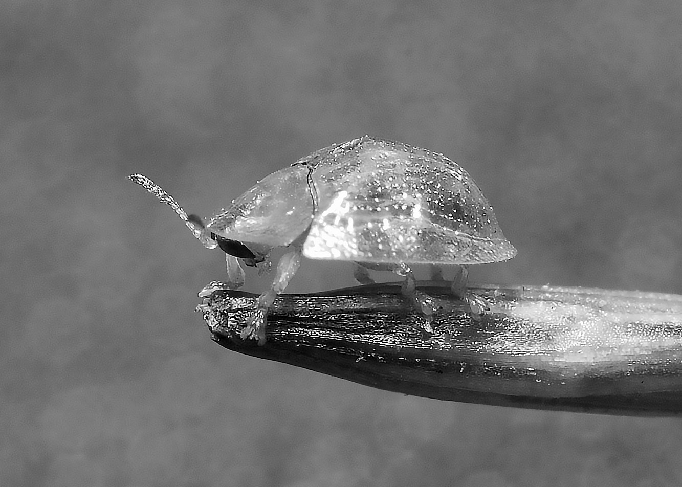 DSC_4230.jpg