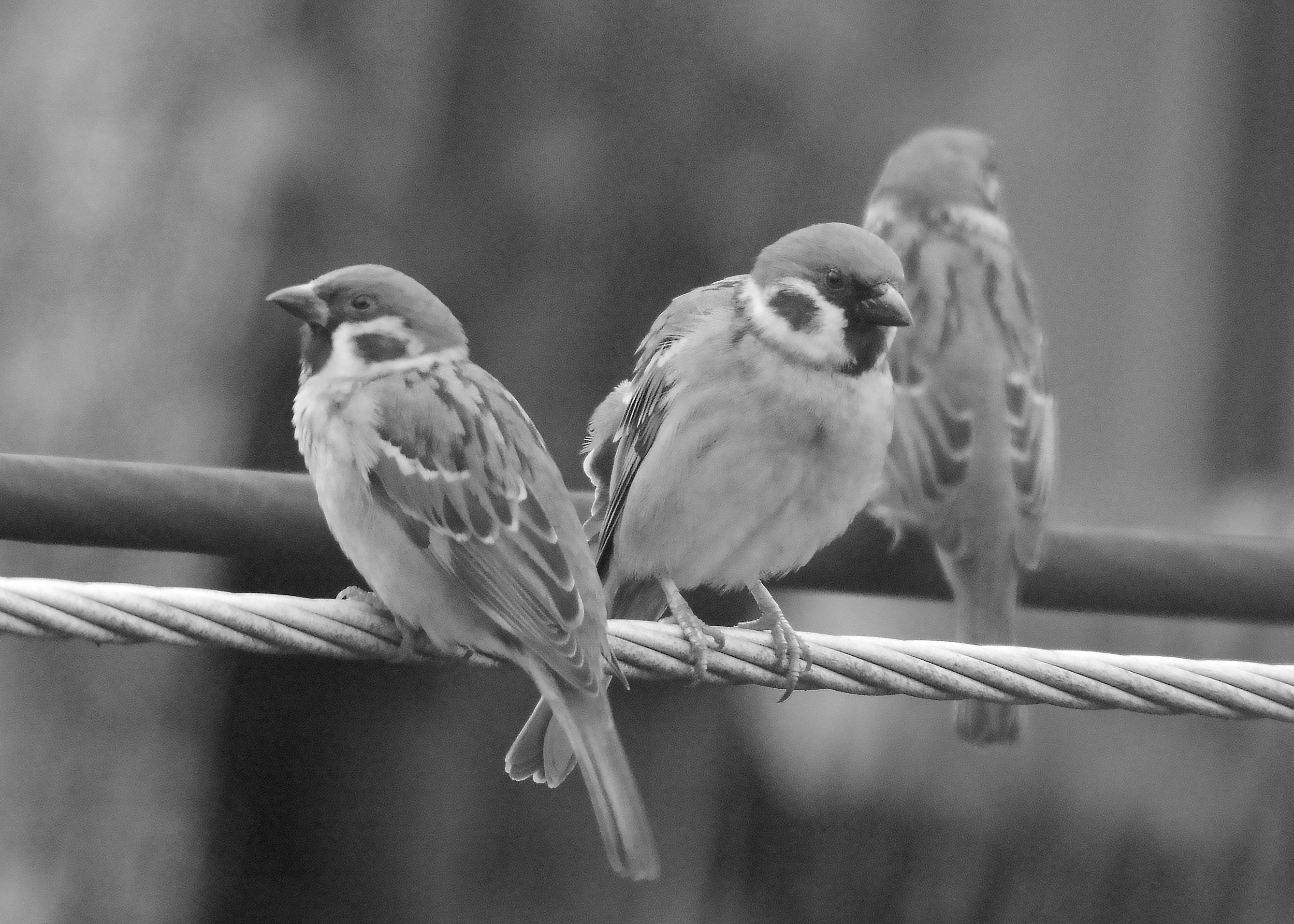 DSC_5751.jpg