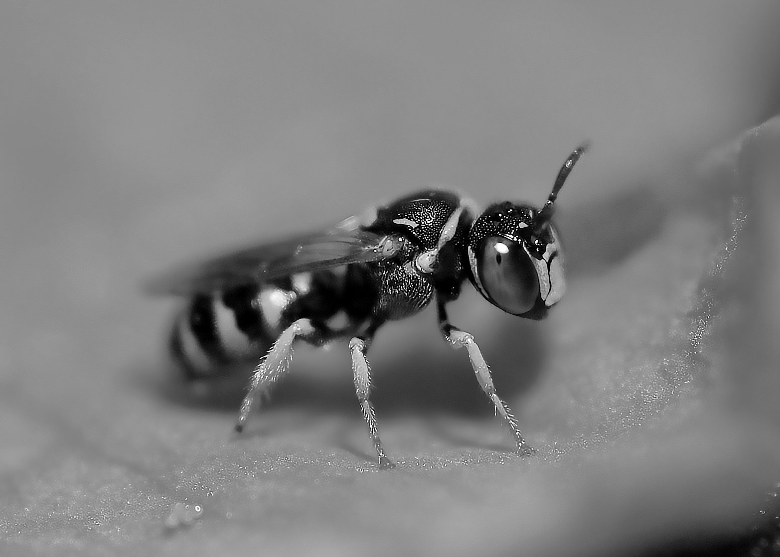 DSC_4278.jpg