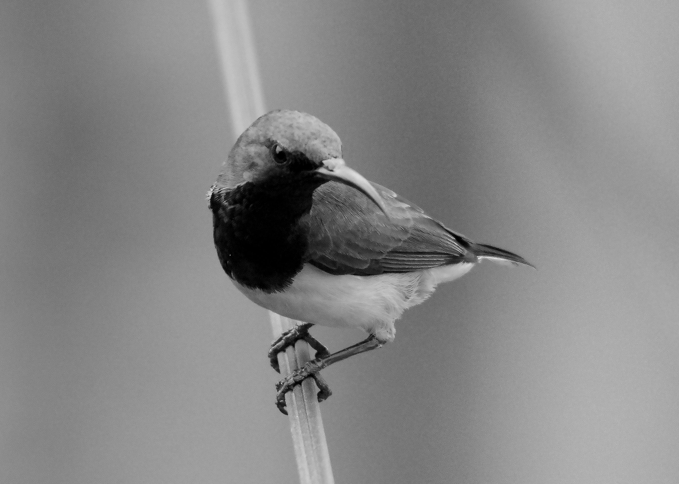 DSC_6281_01.jpg