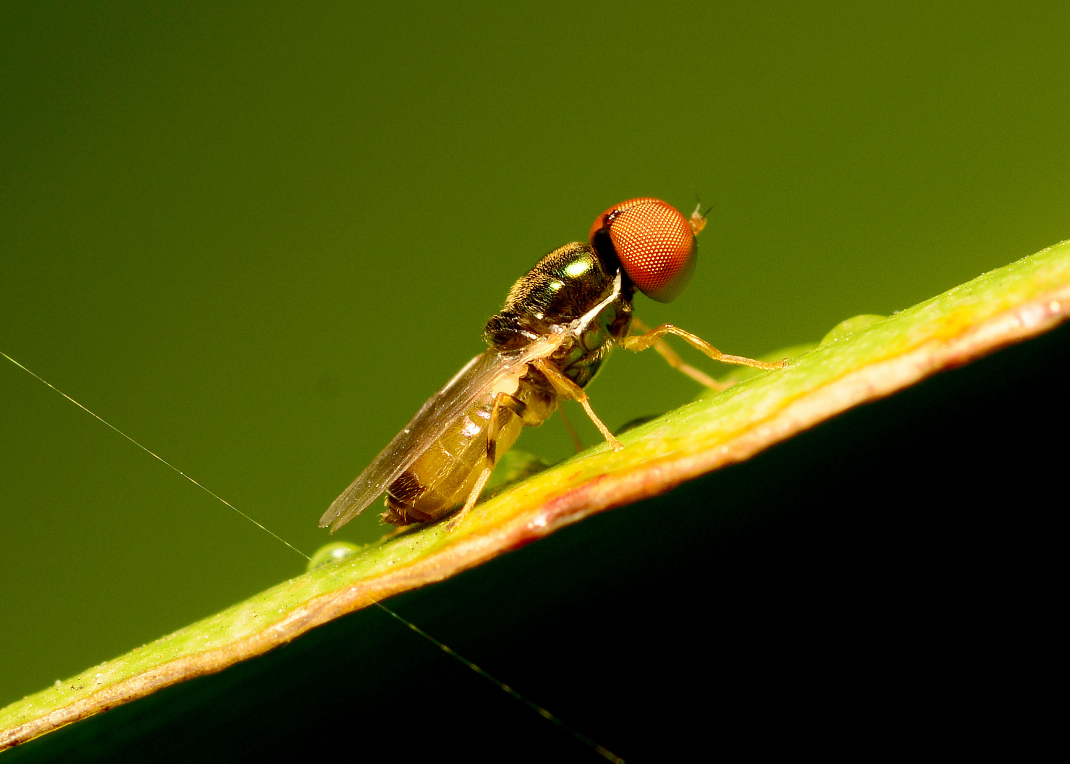 DSC_7655.jpg
