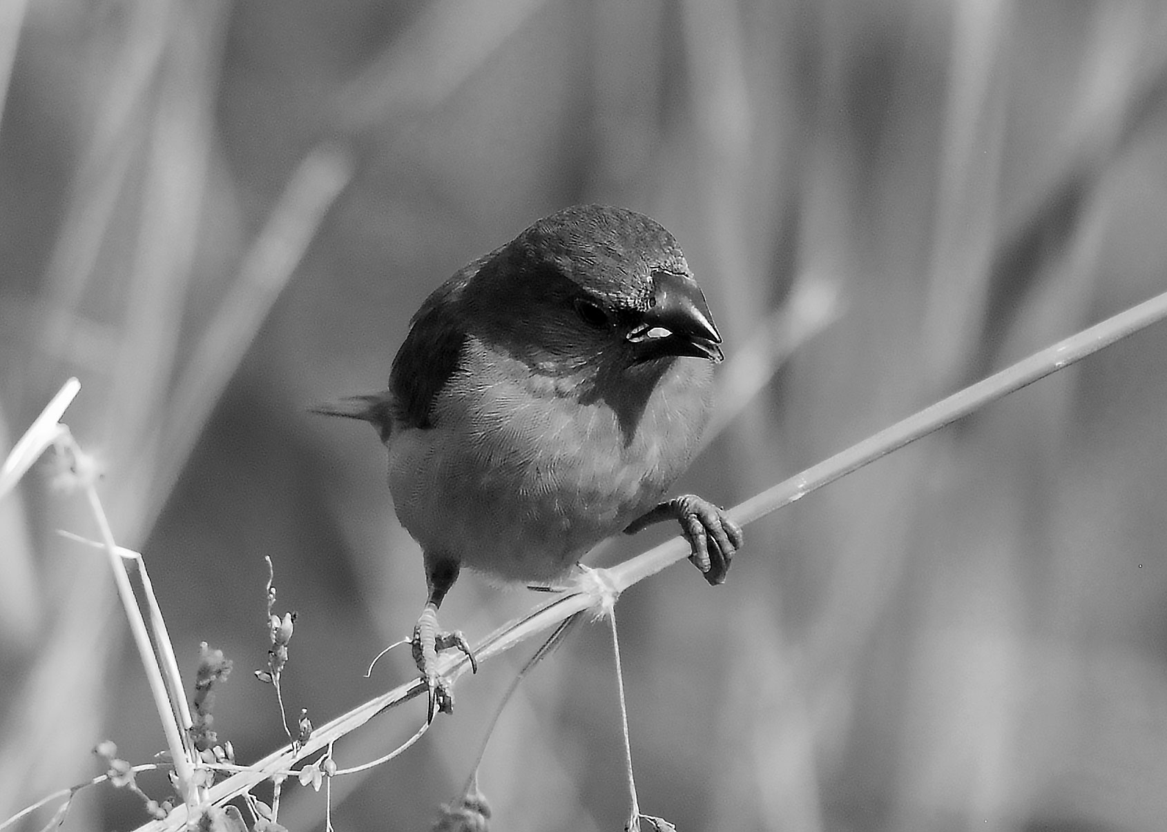 DSC_5992.jpg