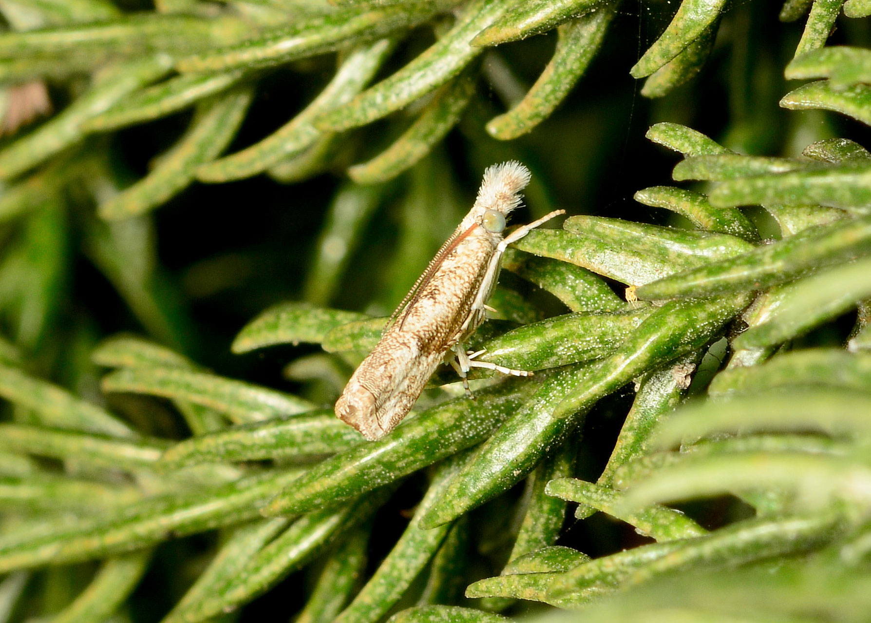 DSC_4476.jpg