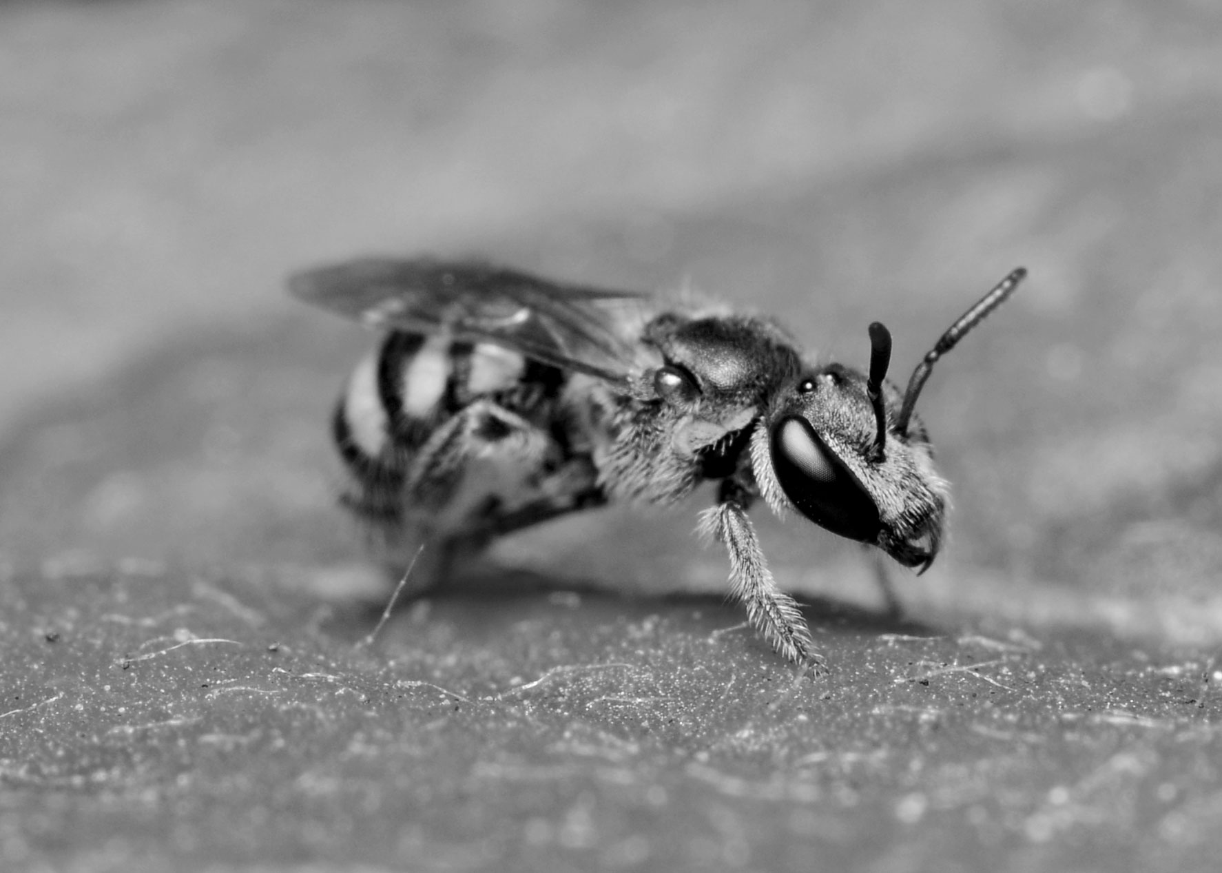 DSC_3619.jpg