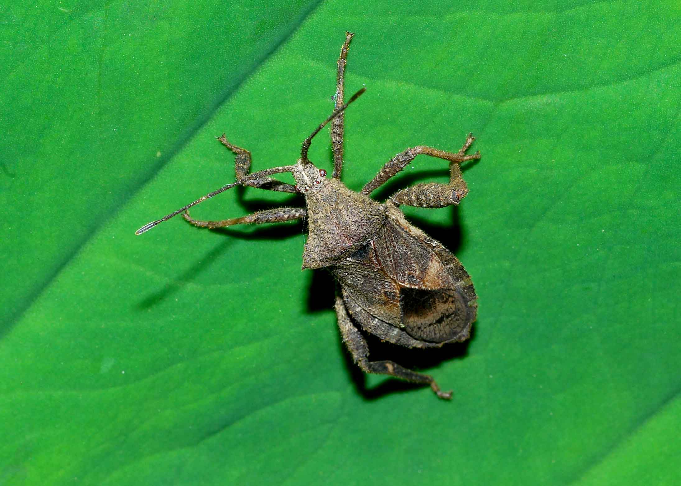 DSC_2526.jpg