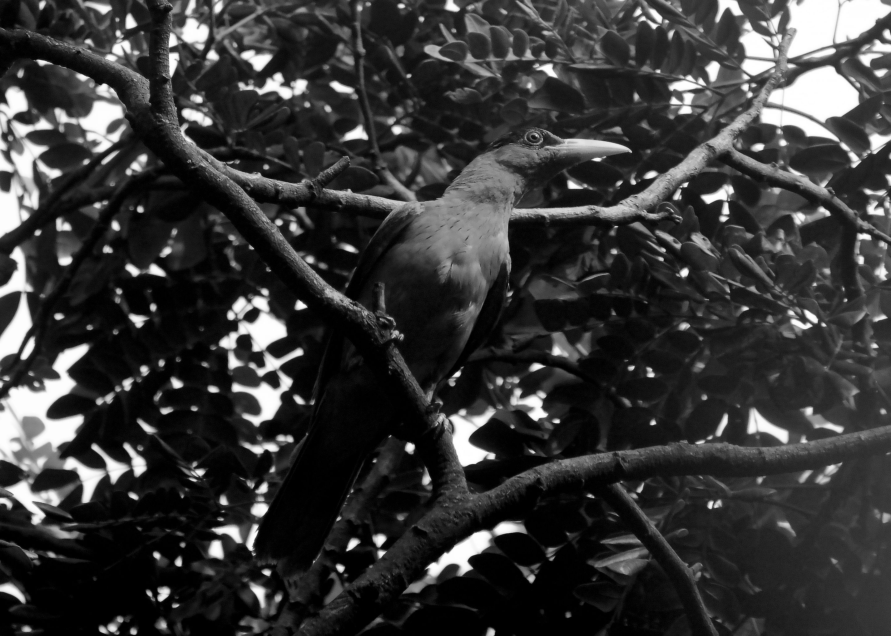 DSC_3395.jpg