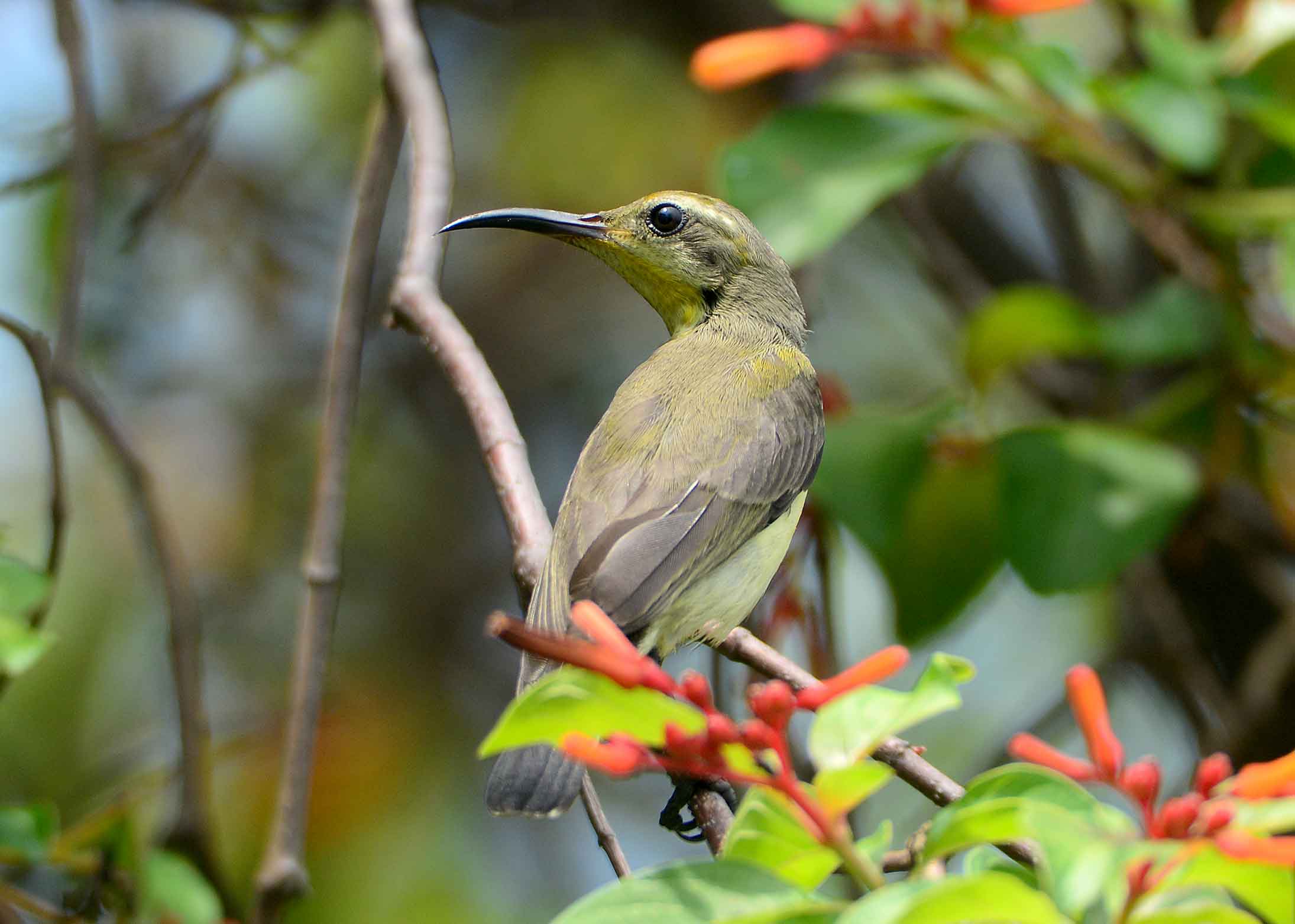 DSC_0127.jpg