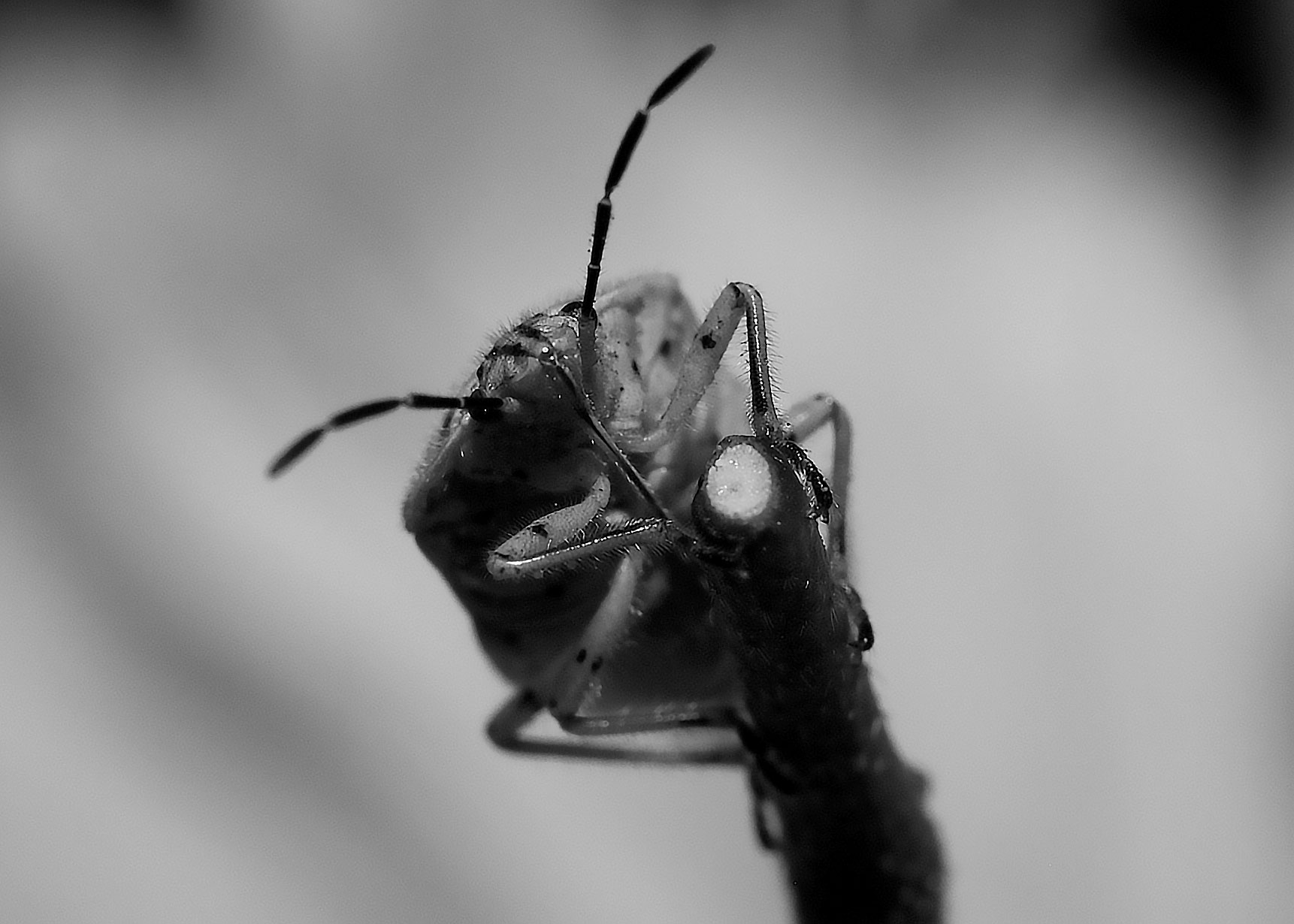 DSC_5325.jpg