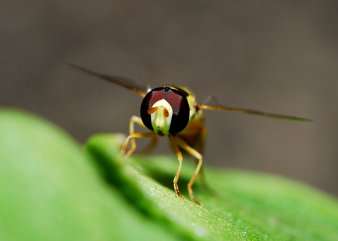 DSC_5072.jpg