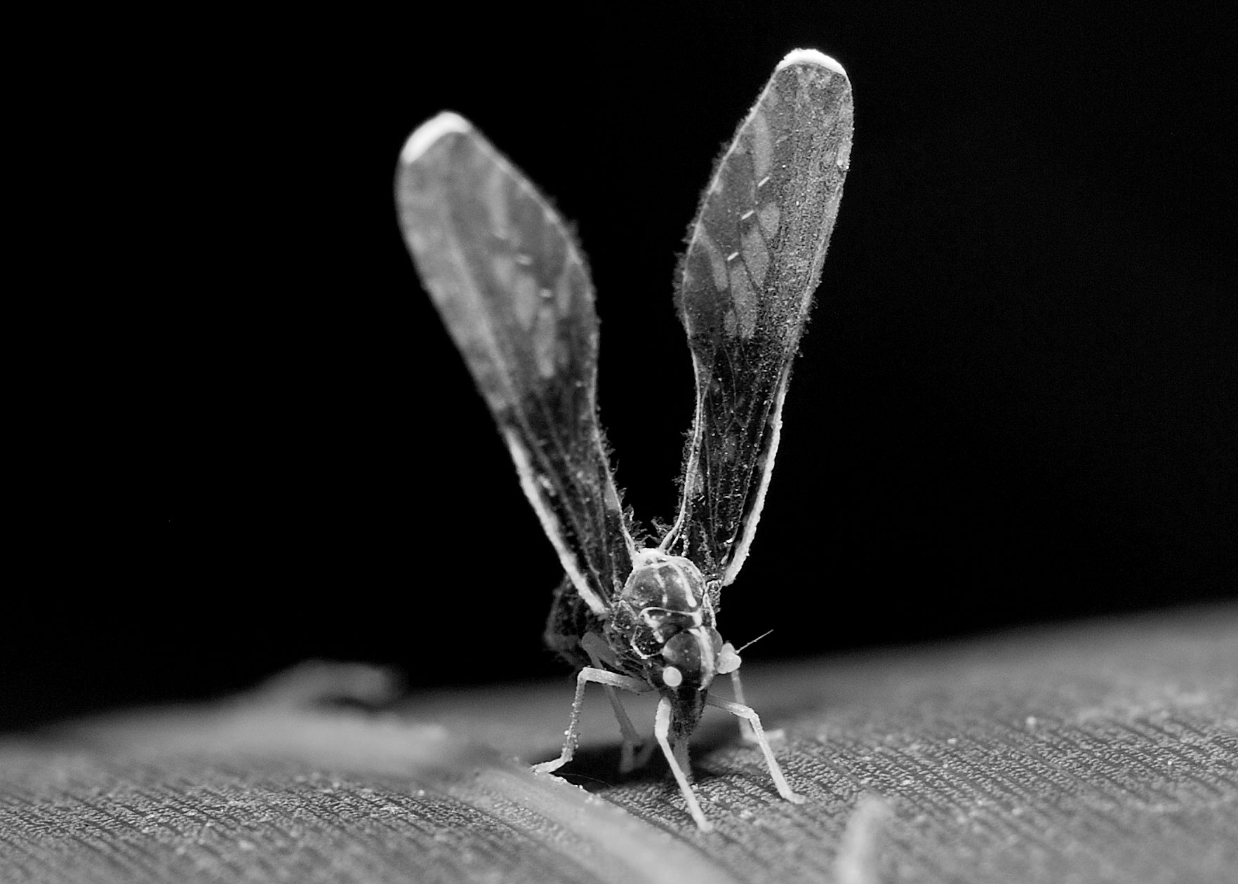 DSC_9147.jpg