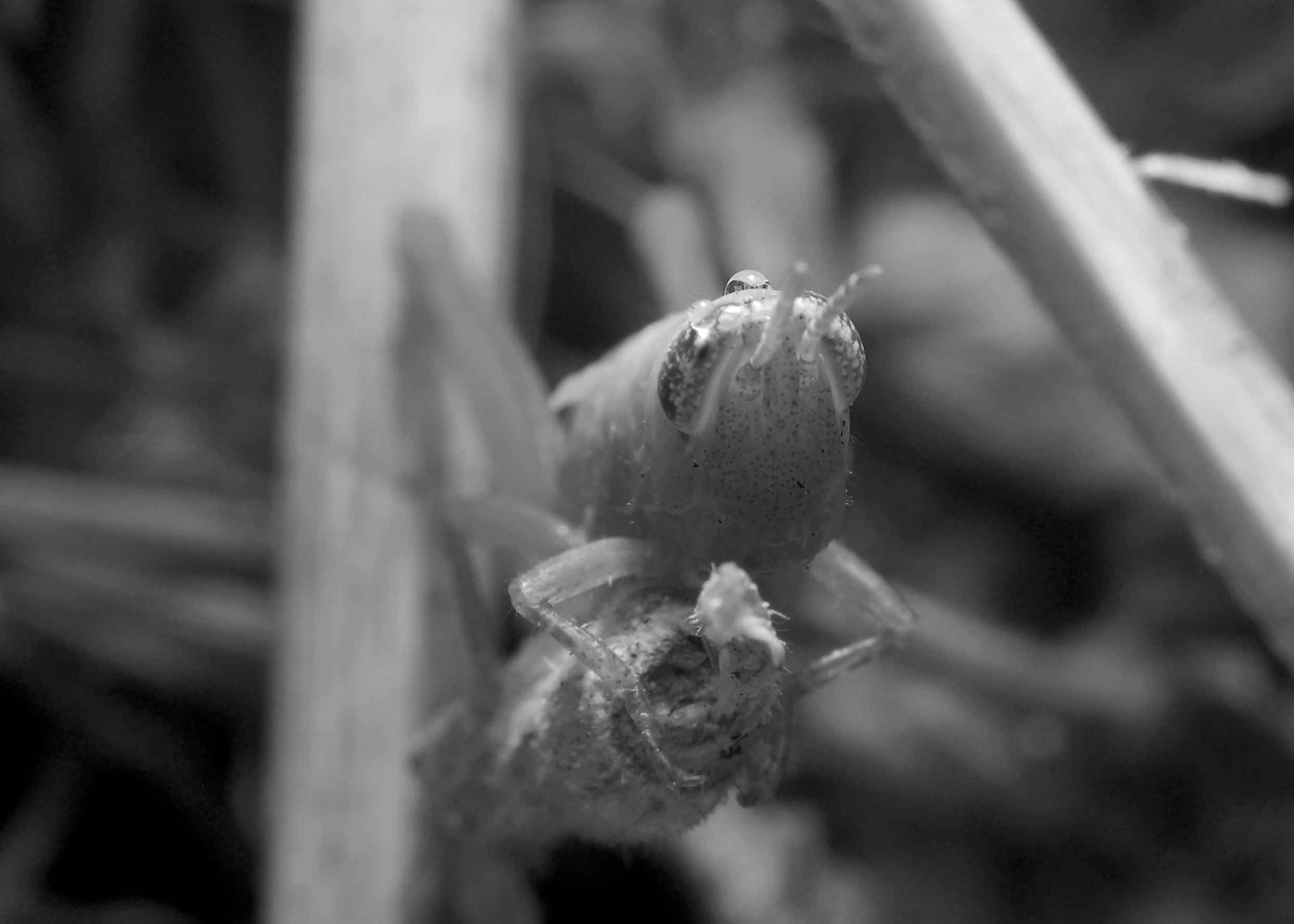 DSC_7415.jpg
