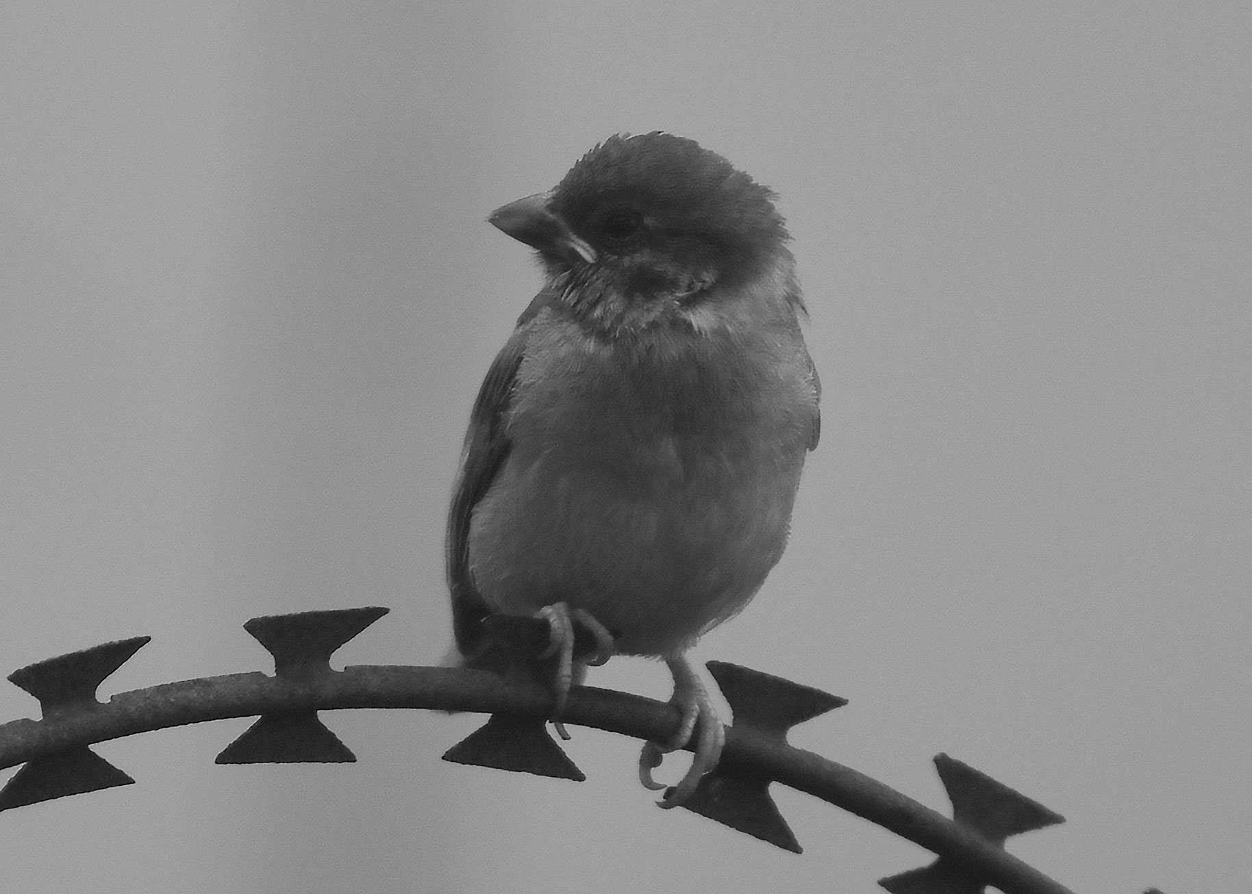 DSC_3878.jpg
