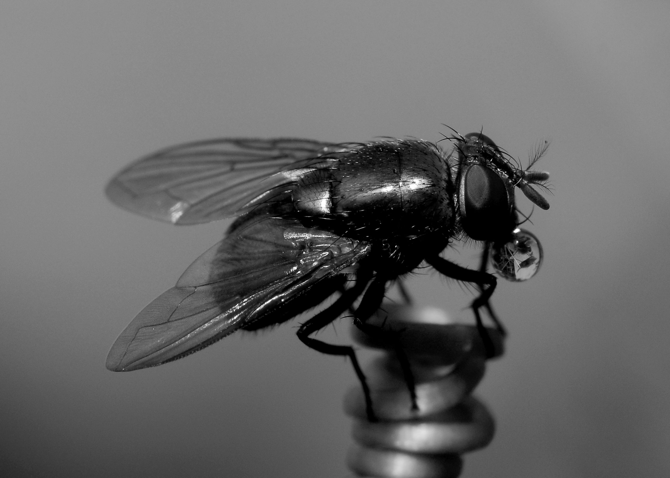 DSC_0293.jpg