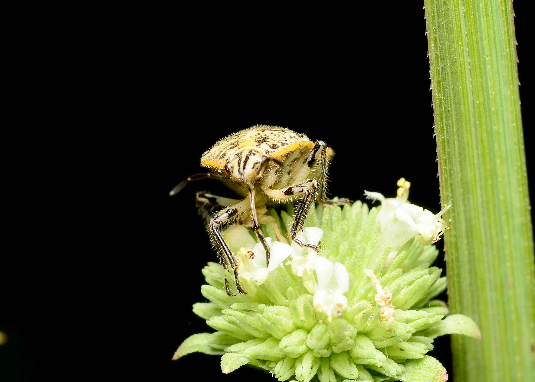 DSC_1195.jpg