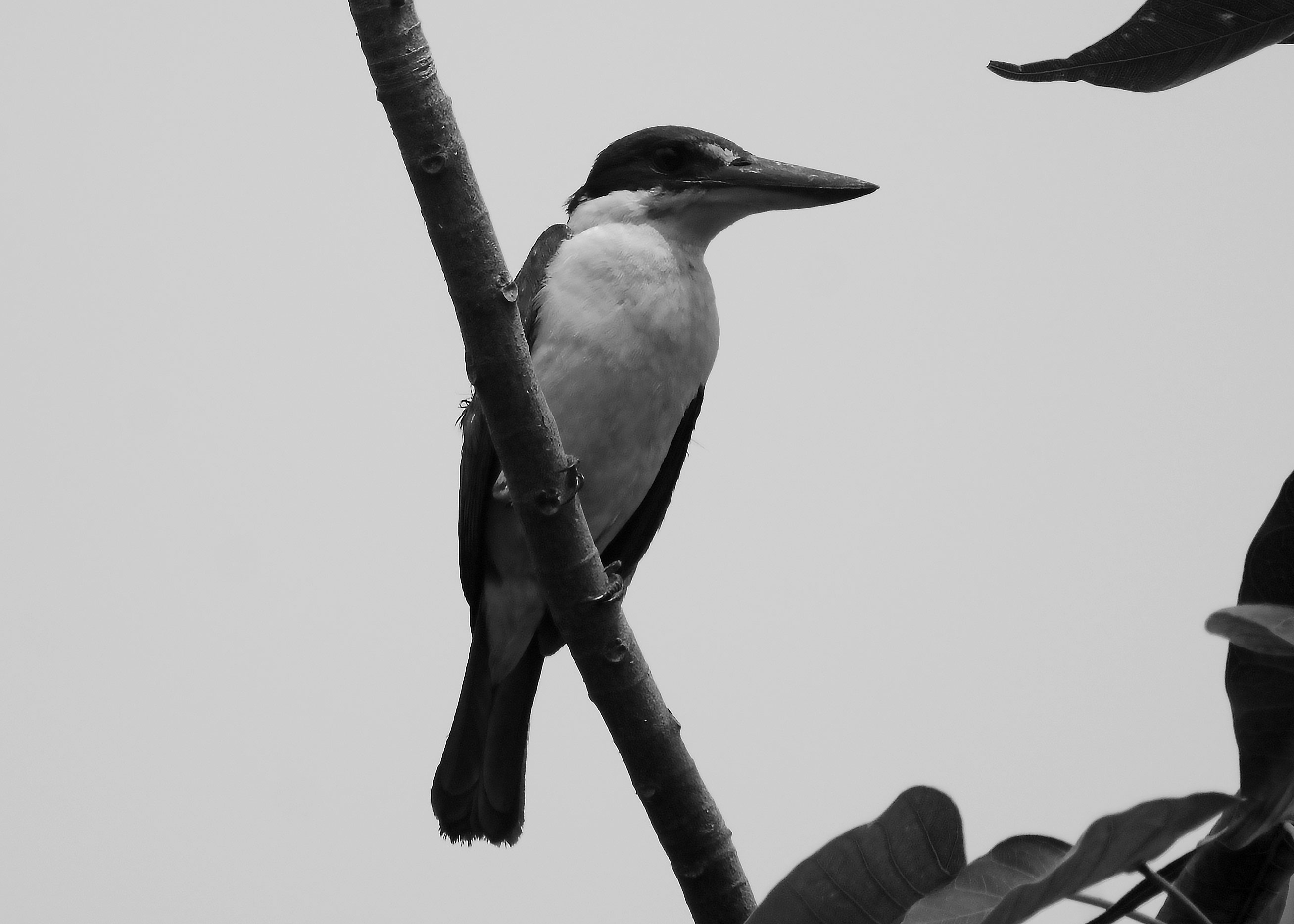 DSC_3553.jpg