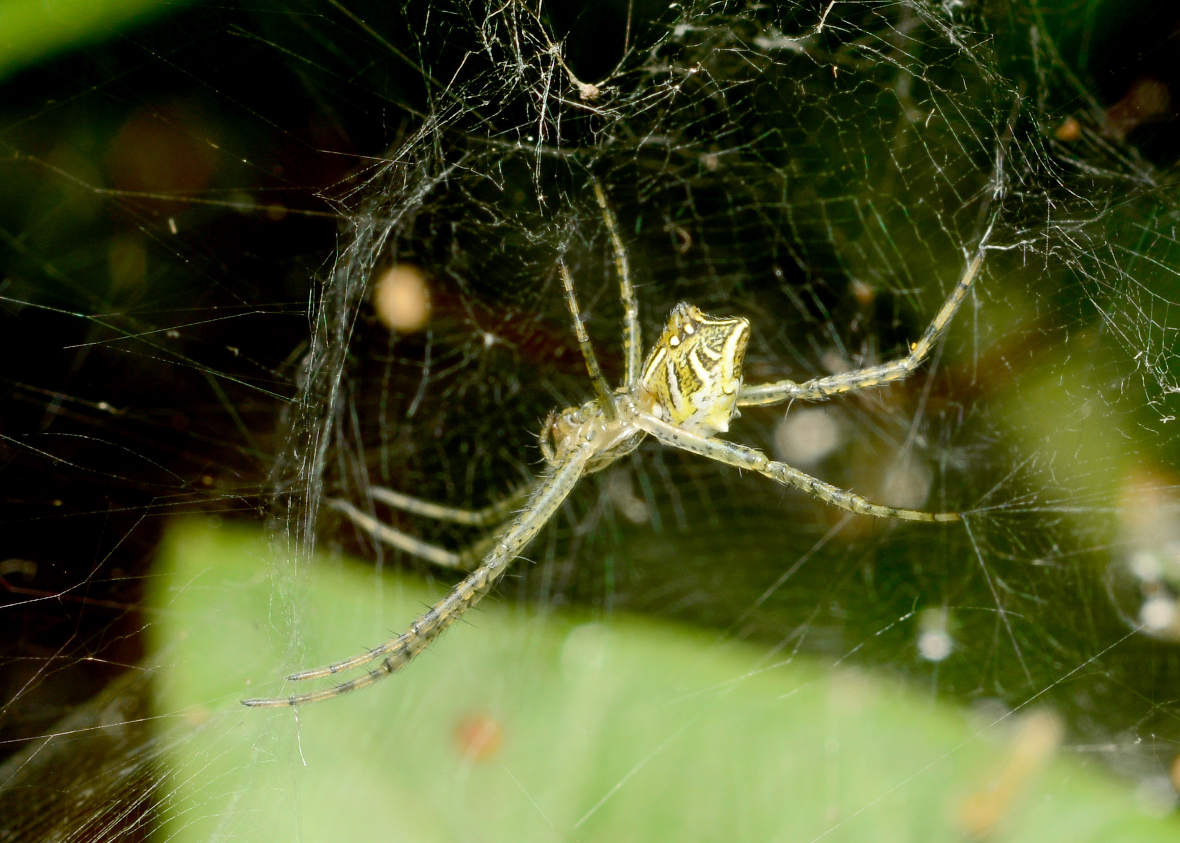 DSC_0257.jpg