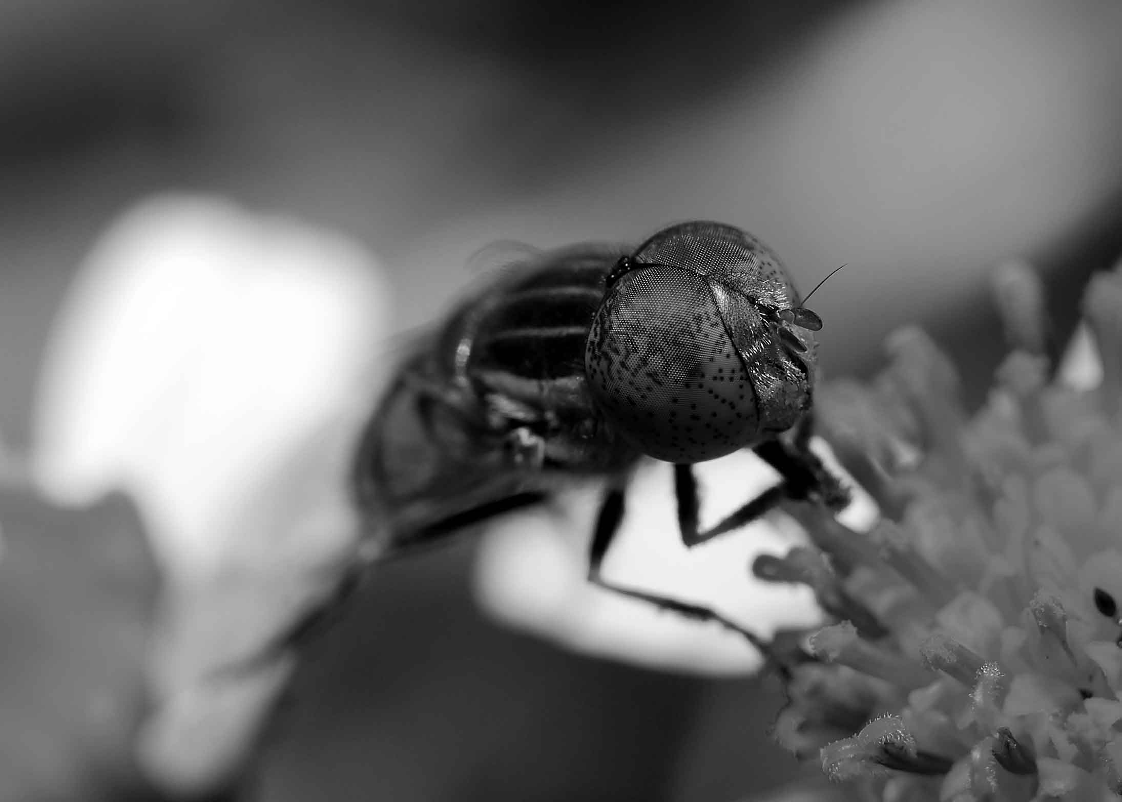 DSC_6912.jpg