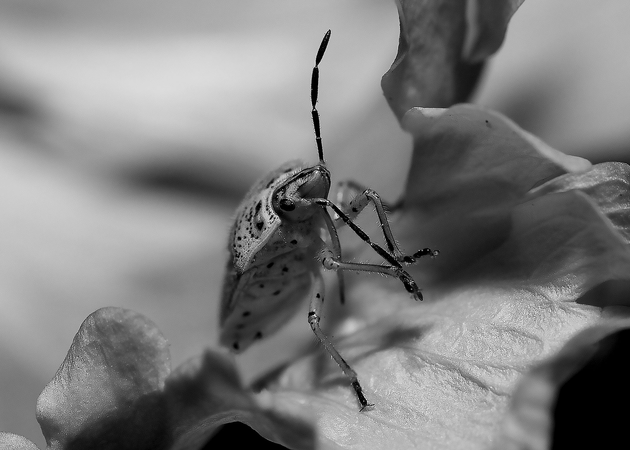 DSC_5334.jpg
