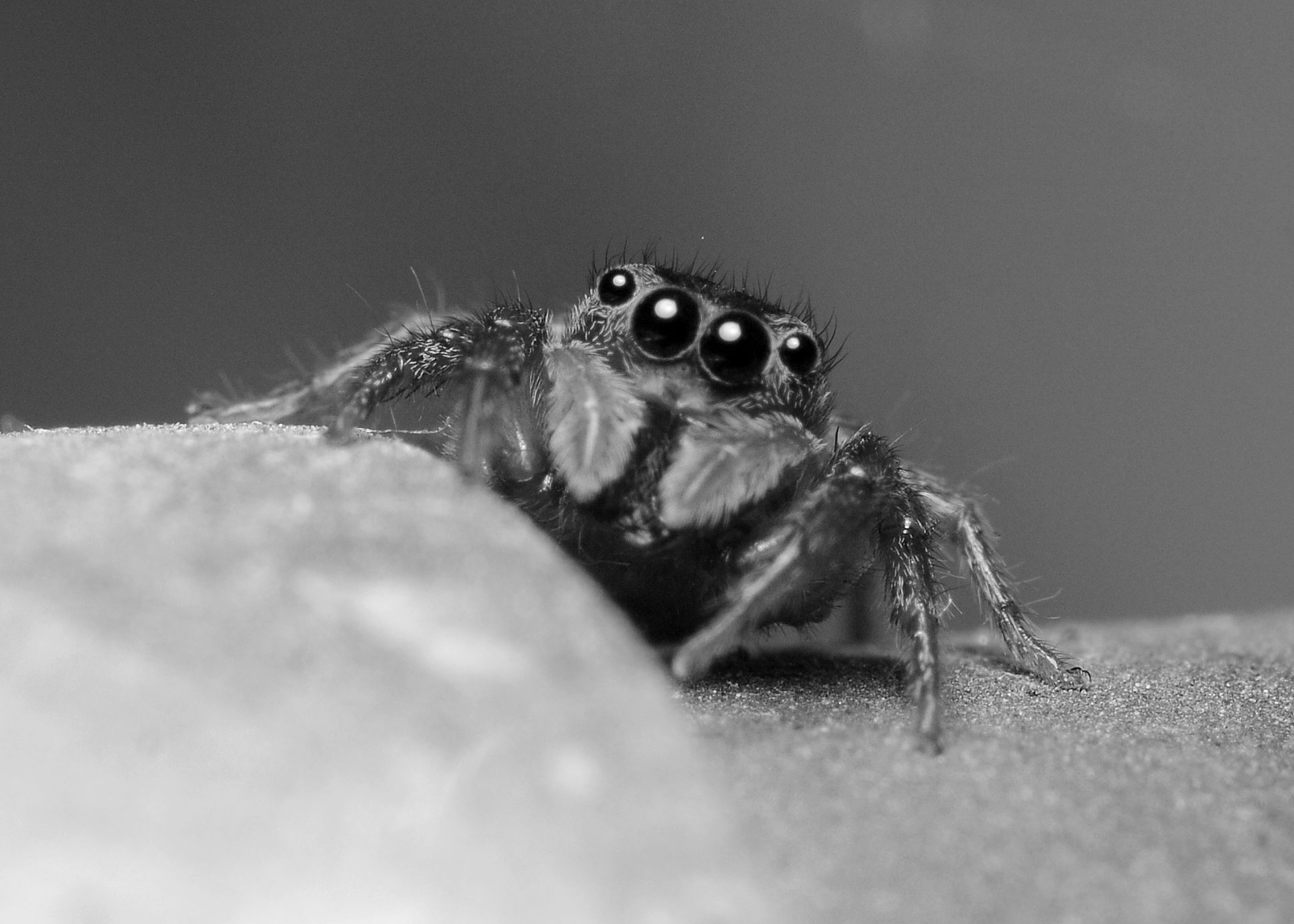 DSC_1687.jpg
