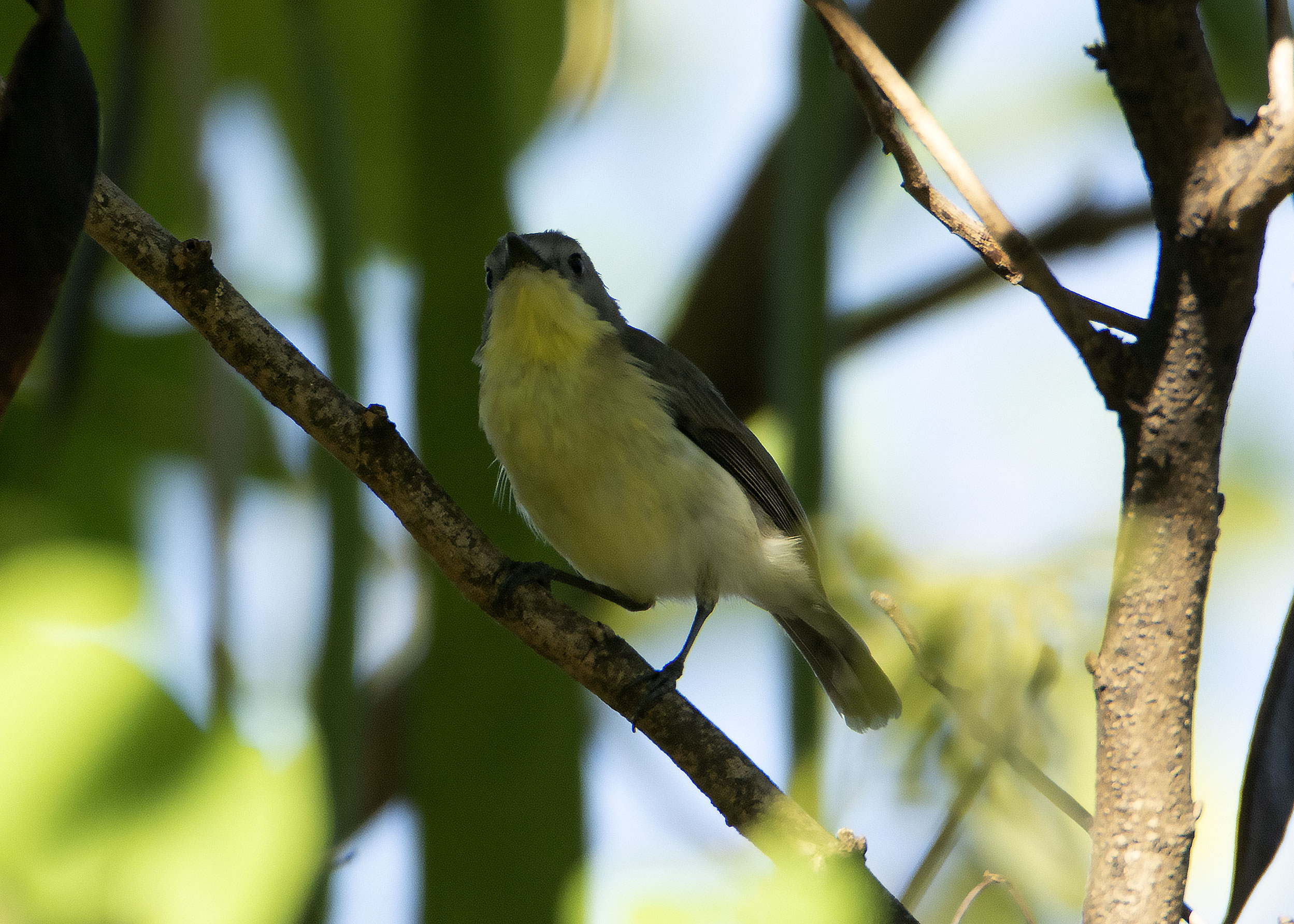 DSC_0985.jpg