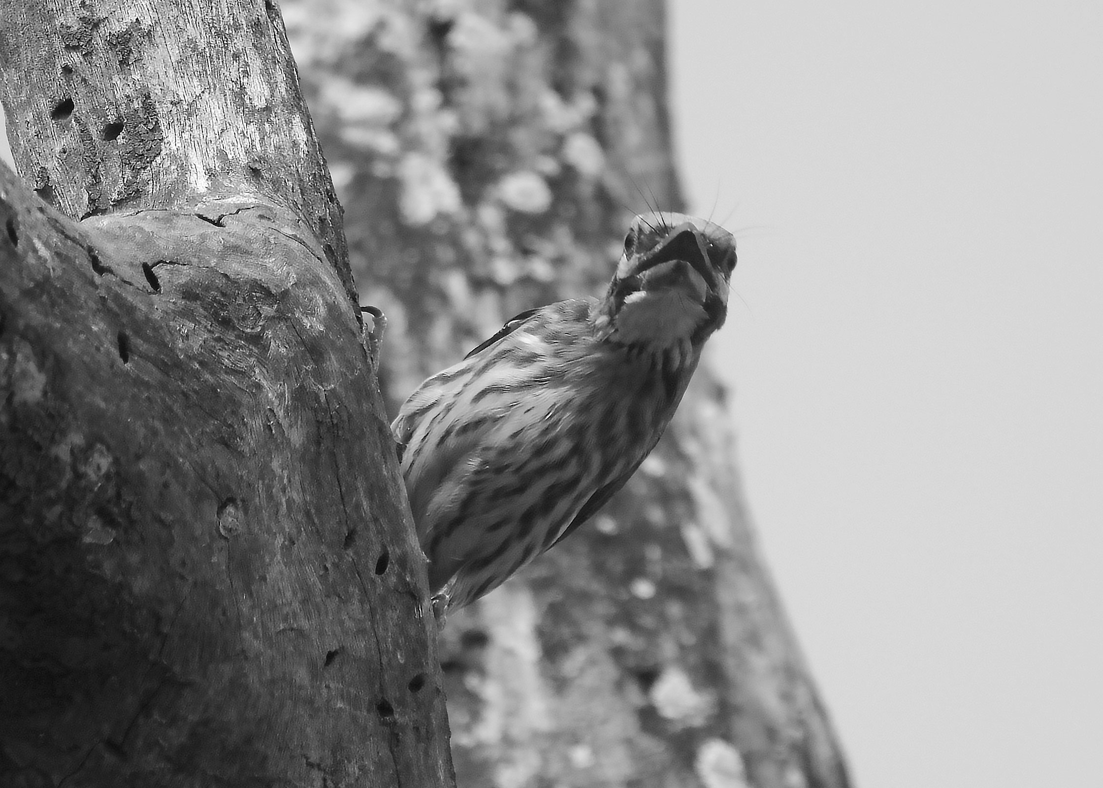 DSC_8021.jpg