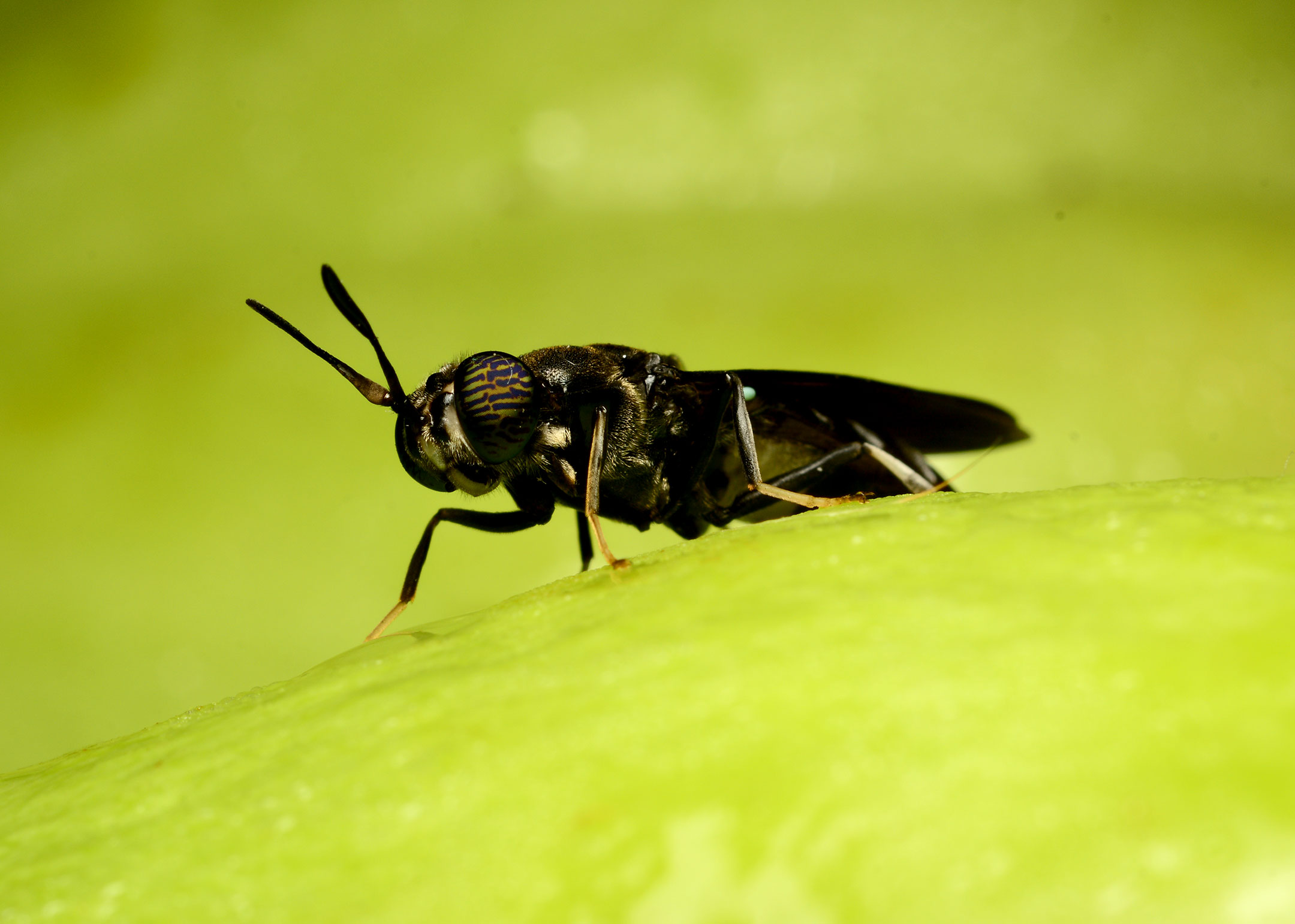 DSC_5904.jpg